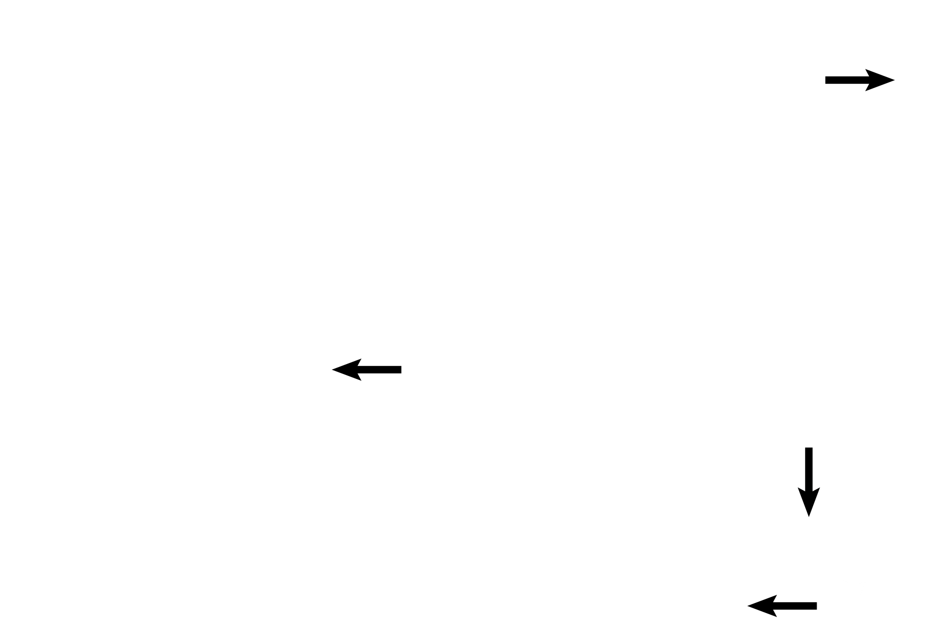 Cilia <p>The oviductal mucosa is lined by simple columnar epithelium with cilia and unicellular glands.  Ciliated cells and their basal bodies are well demonstrated.  Secretory cells (peg cells) lack cilia; their nutritive secretory product frequently protrudes into the lumen prior to release.  Lamina propria is the connective tissue layer of the mucosa, underlying the epithelium.  1000x </p>
