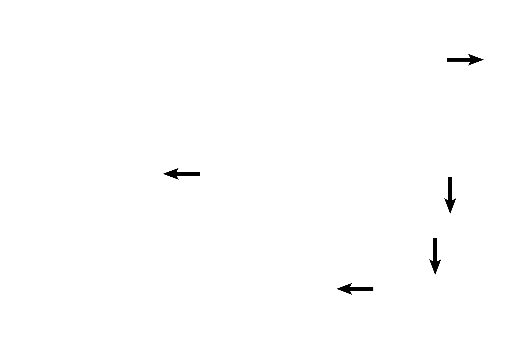 Basal bodies <p>The oviductal mucosa is lined by simple columnar epithelium with cilia and unicellular glands.  Ciliated cells and their basal bodies are well demonstrated.  Secretory cells (peg cells) lack cilia; their nutritive secretory product frequently protrudes into the lumen prior to release.  Lamina propria is the connective tissue layer of the mucosa, underlying the epithelium.  1000x </p>
