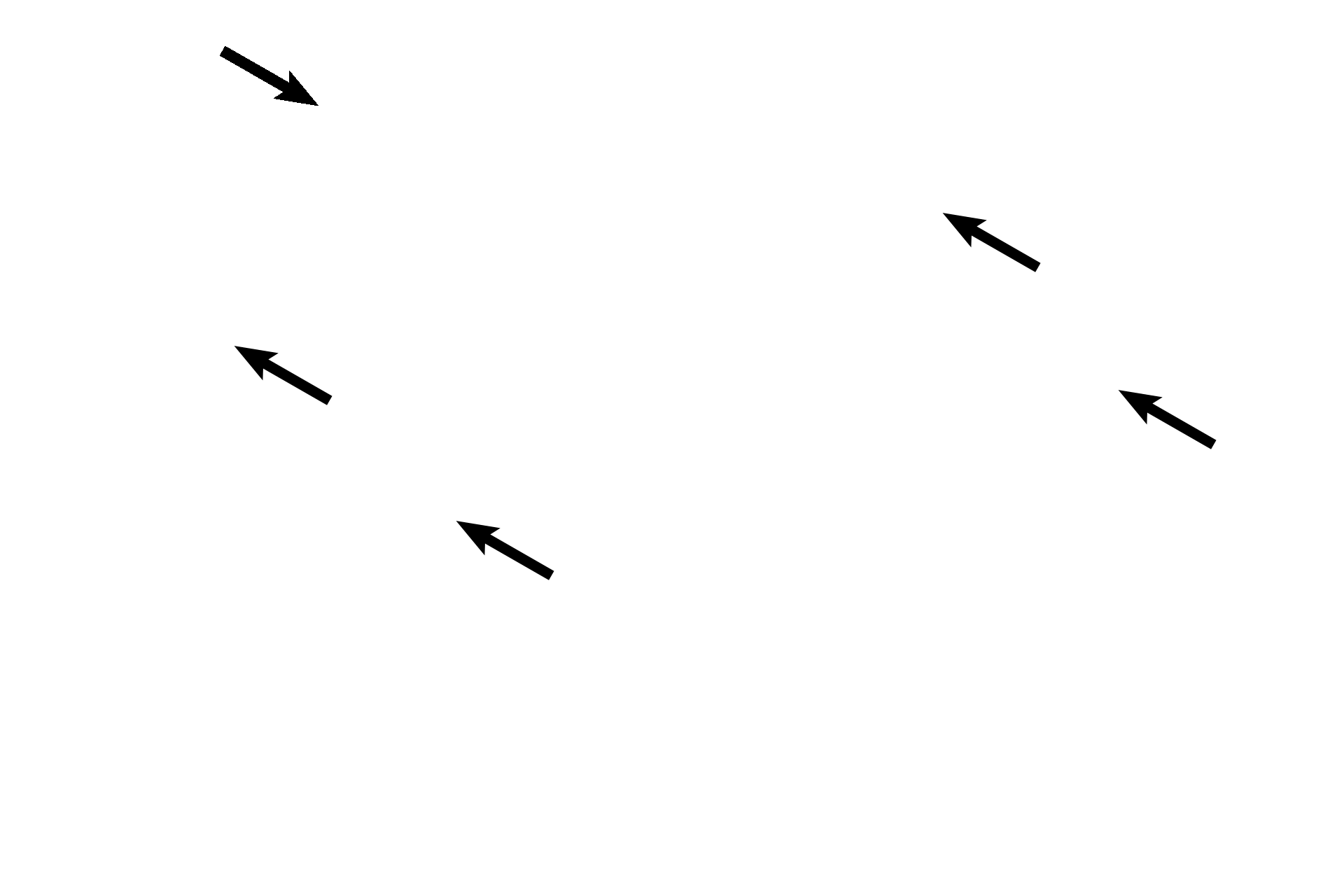 Ciliated cells <p>Another image of the mucosal folds of the ampulla demonstrate the ciliated and secretory cells essential for the movement and nourishment of the secondary ooctye, sperm and embryo.  These cells reach peak activity around the time of ovulation under the influence of high estrogen levels.  100x </p>
