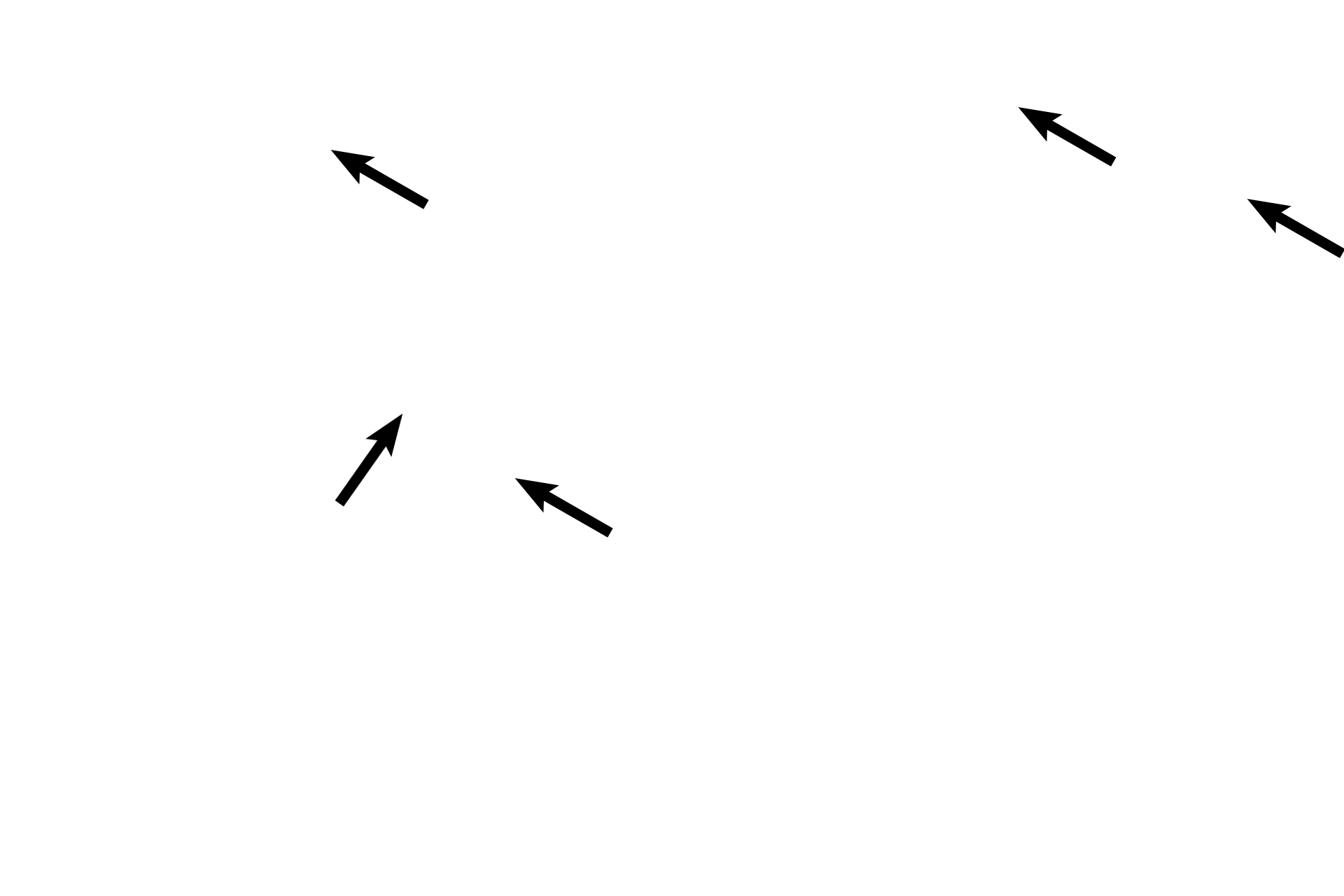  - Basal bodies <p>Another image of the mucosal folds of the ampulla demonstrate the ciliated and secretory cells essential for the movement and nourishment of the secondary ooctye, sperm and embryo.  These cells reach peak activity around the time of ovulation under the influence of high estrogen levels.  100x </p>
