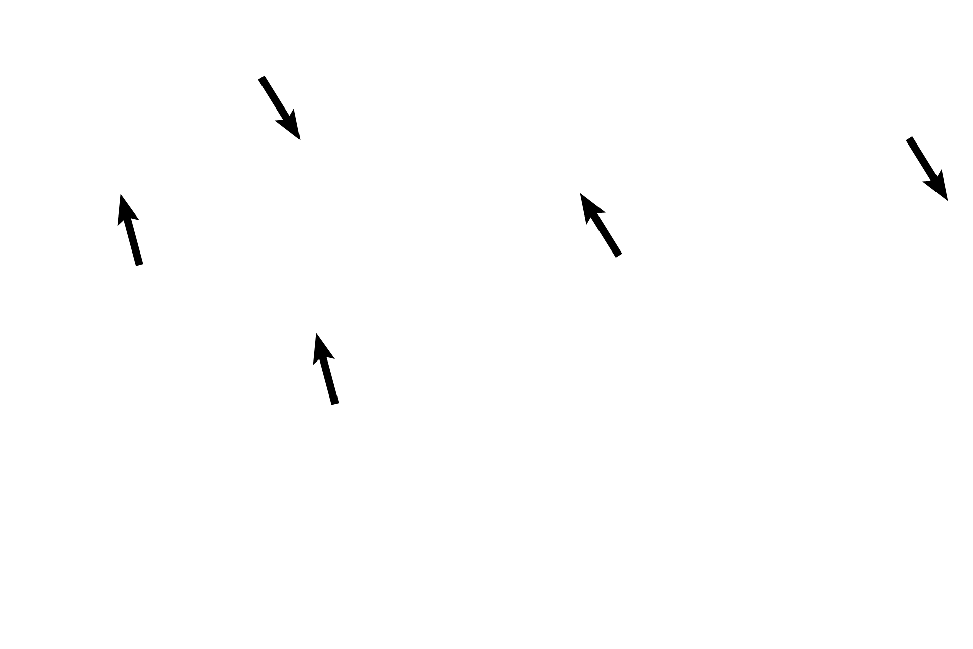 Secretory cells <p>Another image of the mucosal folds of the ampulla demonstrate the ciliated and secretory cells essential for the movement and nourishment of the secondary ooctye, sperm and embryo.  These cells reach peak activity around the time of ovulation under the influence of high estrogen levels.  100x </p>
