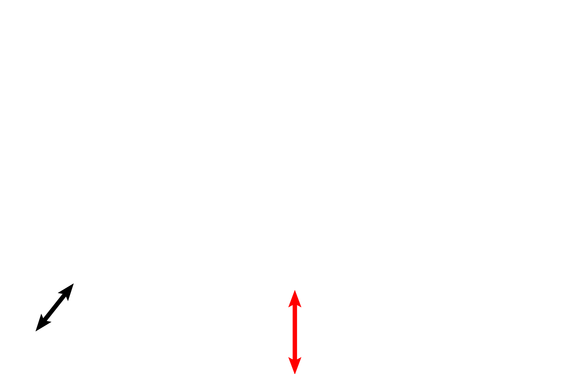 Lamina propria <p>Another image of the mucosal folds of the ampulla demonstrate the ciliated and secretory cells essential for the movement and nourishment of the secondary ooctye, sperm and embryo.  These cells reach peak activity around the time of ovulation under the influence of high estrogen levels.  100x </p>
