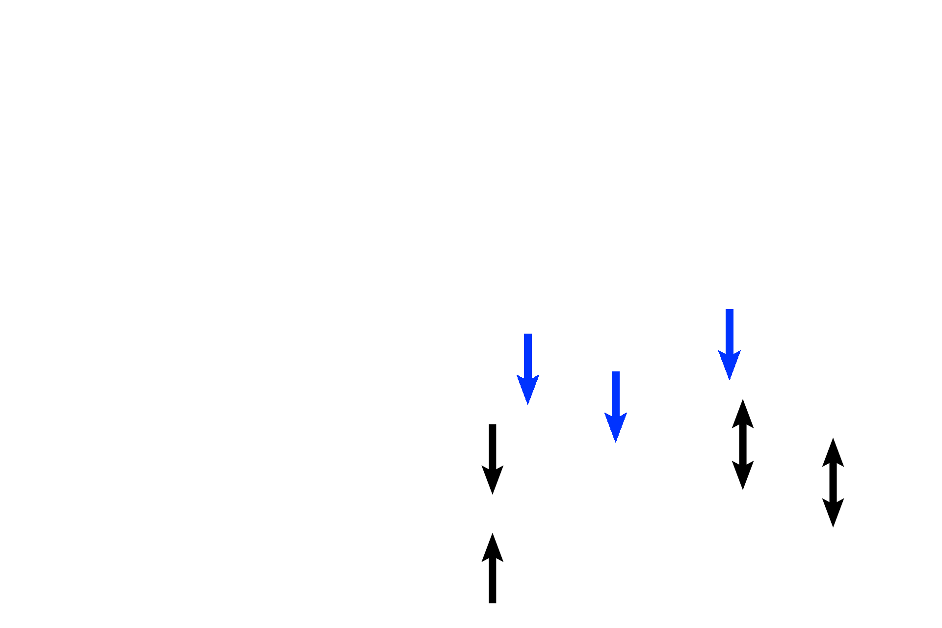 Trophoblastic shell > <p>The trophoblastic shell is a thick layer of cytotrophoblastic cells that forms the outer perimeter of the embryonic placenta.  This layer still lies beneath the syncytiotrophoblast (blue arrows) and abuts the maternal decidua, sometimes separated from it by a layer of fibrinoid, an acidophilic extracellular material related to fibrin. </p>
