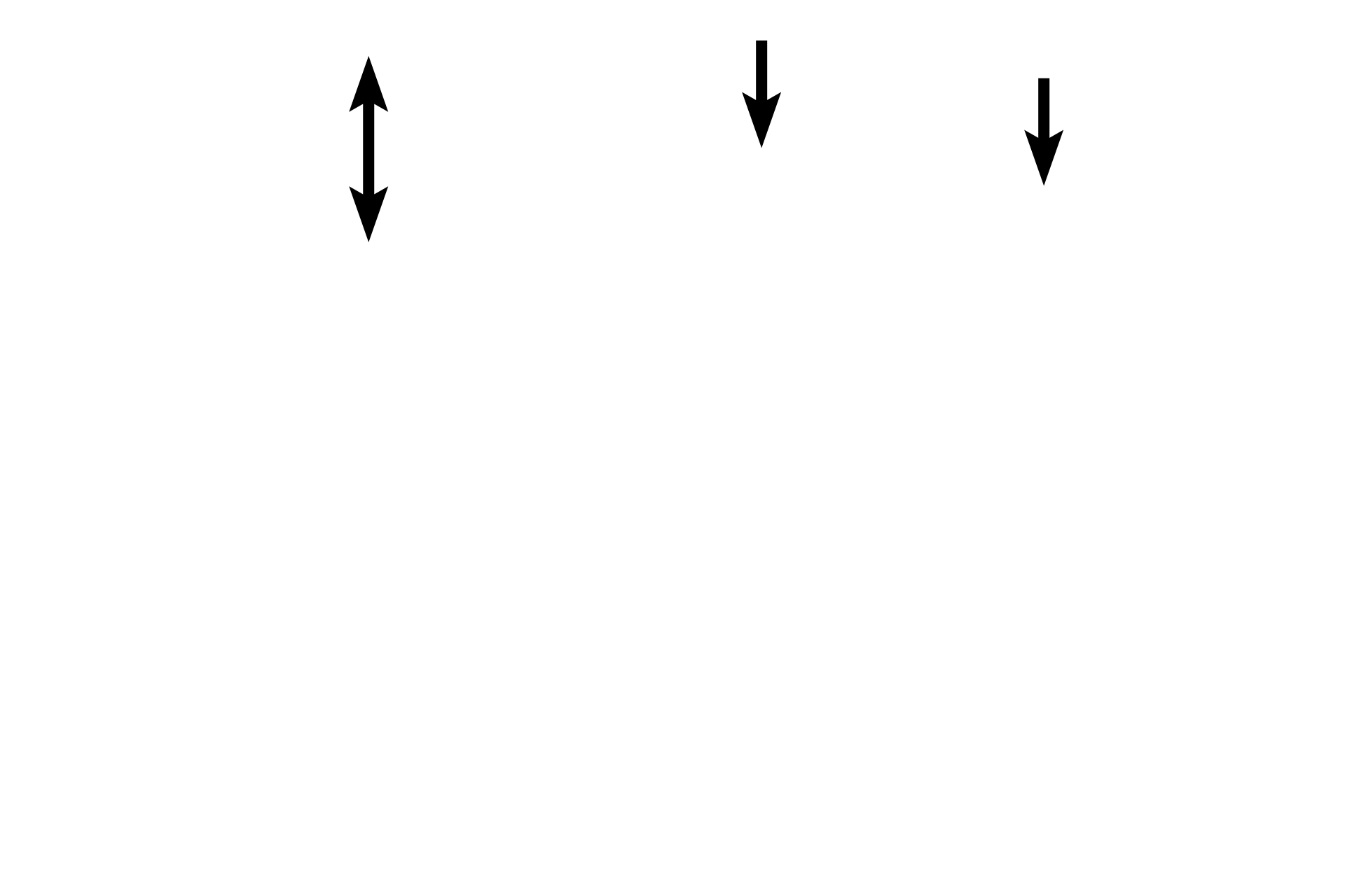 Sloughed tissue + blood <p>The ischemia produced by the contraction of spiral arteries leads to degeneration and sloughing of the functional zone, leaving only the basal zone remaining at the end of menstruation.  The menstrual flow contains blood, tissue fragments, and uterine fluids.  100x</p>
