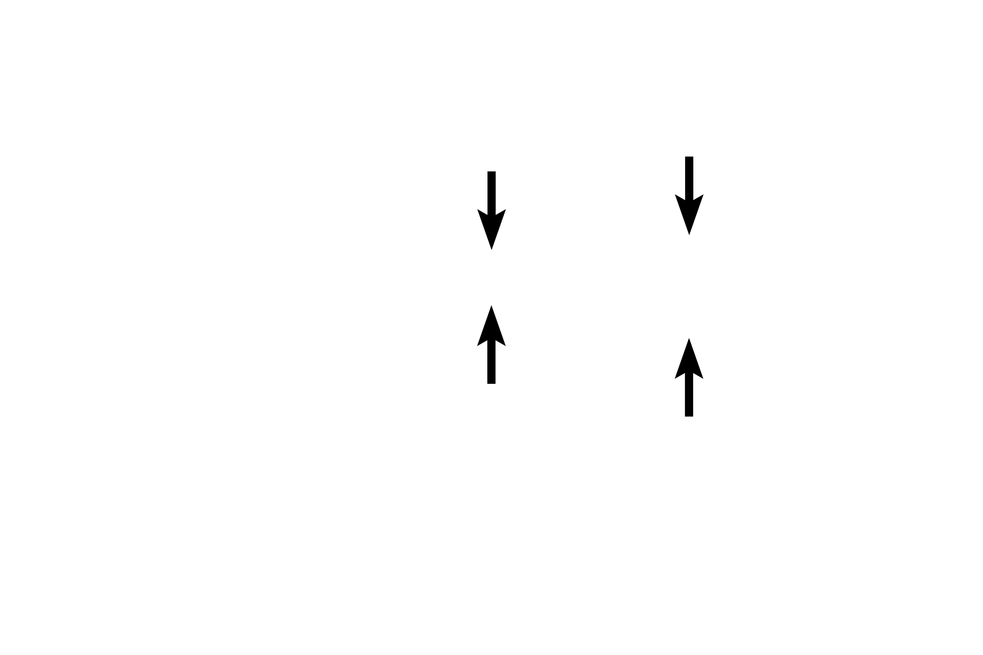 Basal zone <p>The ischemia produced by the contraction of spiral arteries leads to degeneration and sloughing of the functional zone, leaving only the basal zone remaining at the end of menstruation.  The menstrual flow contains blood, tissue fragments, and uterine fluids.  100x</p>
