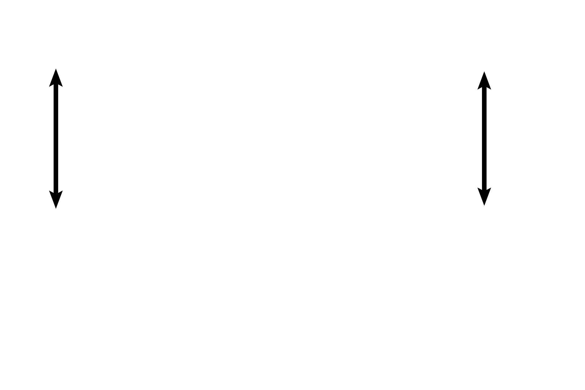 Lamina propria > <p>Because there is no muscularis mucosae present, the connective tissue underlying the epithelium represents the combined lamina propria and submucosa.  The connective tissue is looser immediately beneath the epithelium and becomes denser deeper in the layer. </p>
