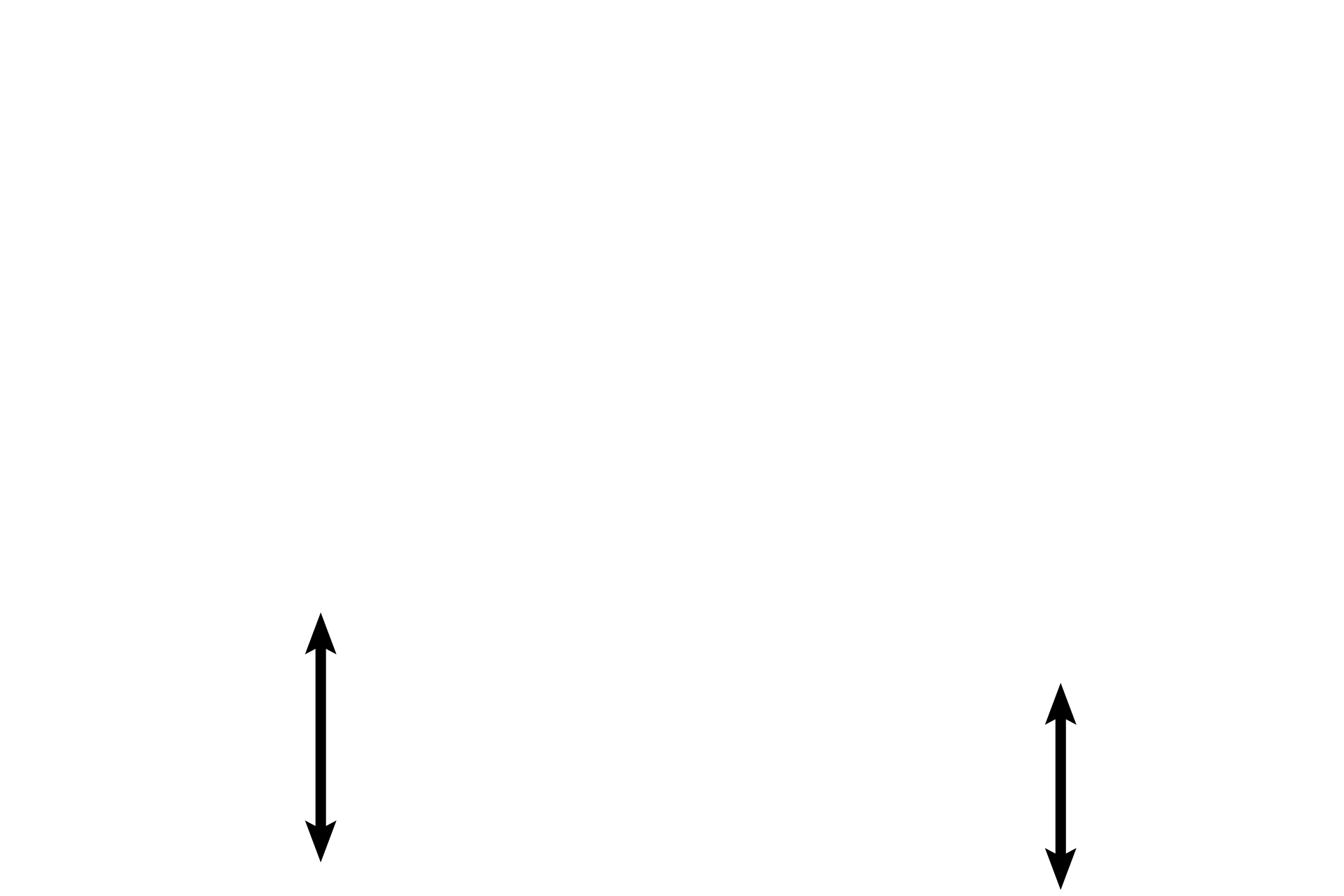 Adventitia <p>The muscularis externa is composed of irregularly arranged bundles of smooth muscle that are not arranged into inner circular and outer longitudinal layers.  An adventitia lies external to the muscularis externa. </p>
