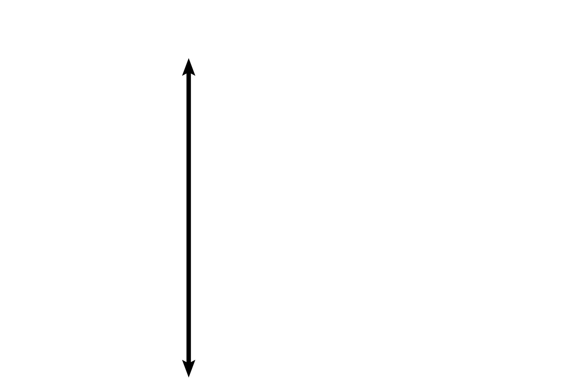 Lamina propria <p>The mucosa of the vagina is composed of a stratified squamous moist epithelium that accumulates glycogen (under the influence of high estrogen at the time of ovulation) and a well vascularized lamina propria. The thin-walled veins in the connective tissue simulate erectile tissue during arousal. No glands are present in the vagina. 100x </p>
