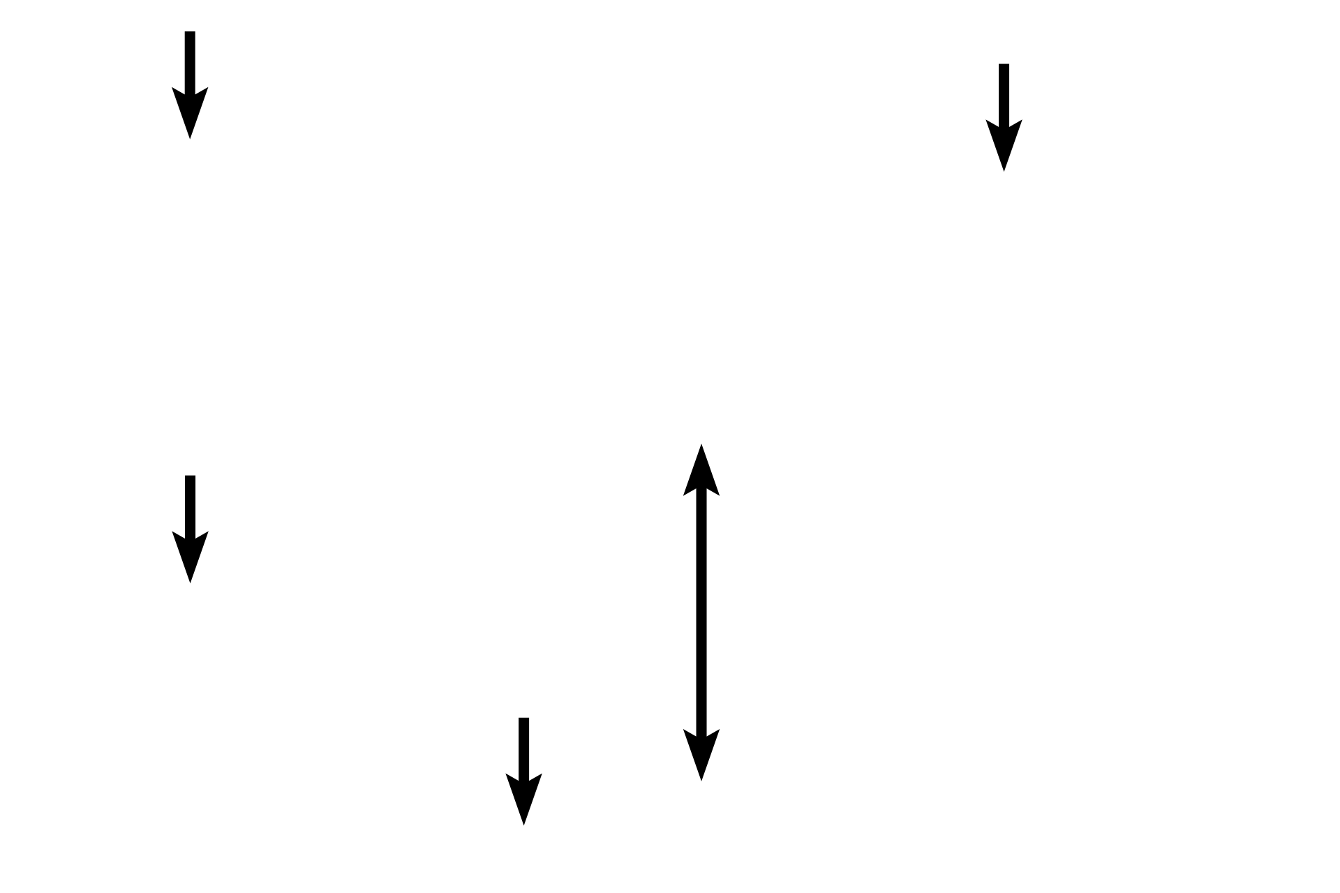 Cremaster muscle > <p>The cremaster muscle is striated muscle that surrounds the spermatic cord and continues to encompass the testis in the scrotal sac. This muscle provides a thermoregulatory function by elevating the testes in response to cold or fear. </p>
