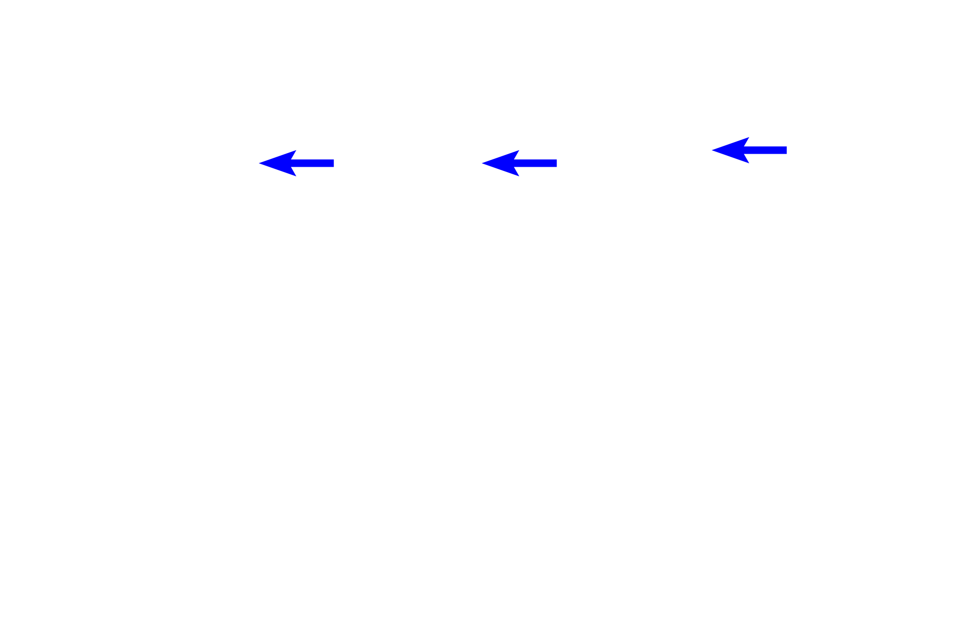  - Blood vessels <p>This series of images shows stages in the life span of a bone remodeling unit (BRU), a two-stage process whereby cortical bone is remodeled from within.  The first stage of a BRU begins with osteoclastic erosion of bone in a “resorption canal” that advances lengthwise within the bone, forming a tunnel.  In the second stage, osteoblasts deposit bone, beginning at the origin of the resorption canal, which creates the “closing end” of the BRU. The continued centripal deposition of lamellae creates a new osteon.</p>
