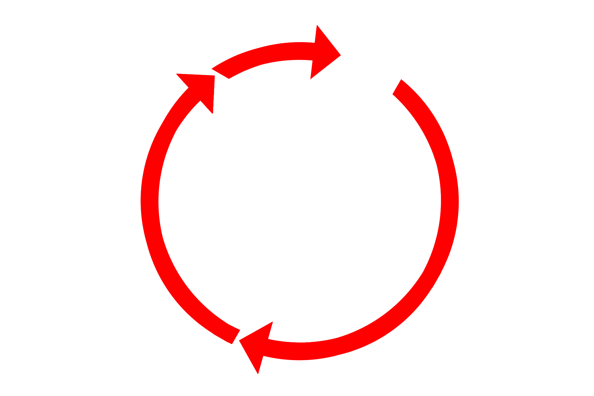Interphase <p>Interphase is the portion of the cell cycle that separates successive mitoses and consists of three phases: a subdivision of cell growth (G1); the portion where DNA and the diplosome are replicated (S); and a second period of cell growth in preparation for mitosis (G2).</p>
