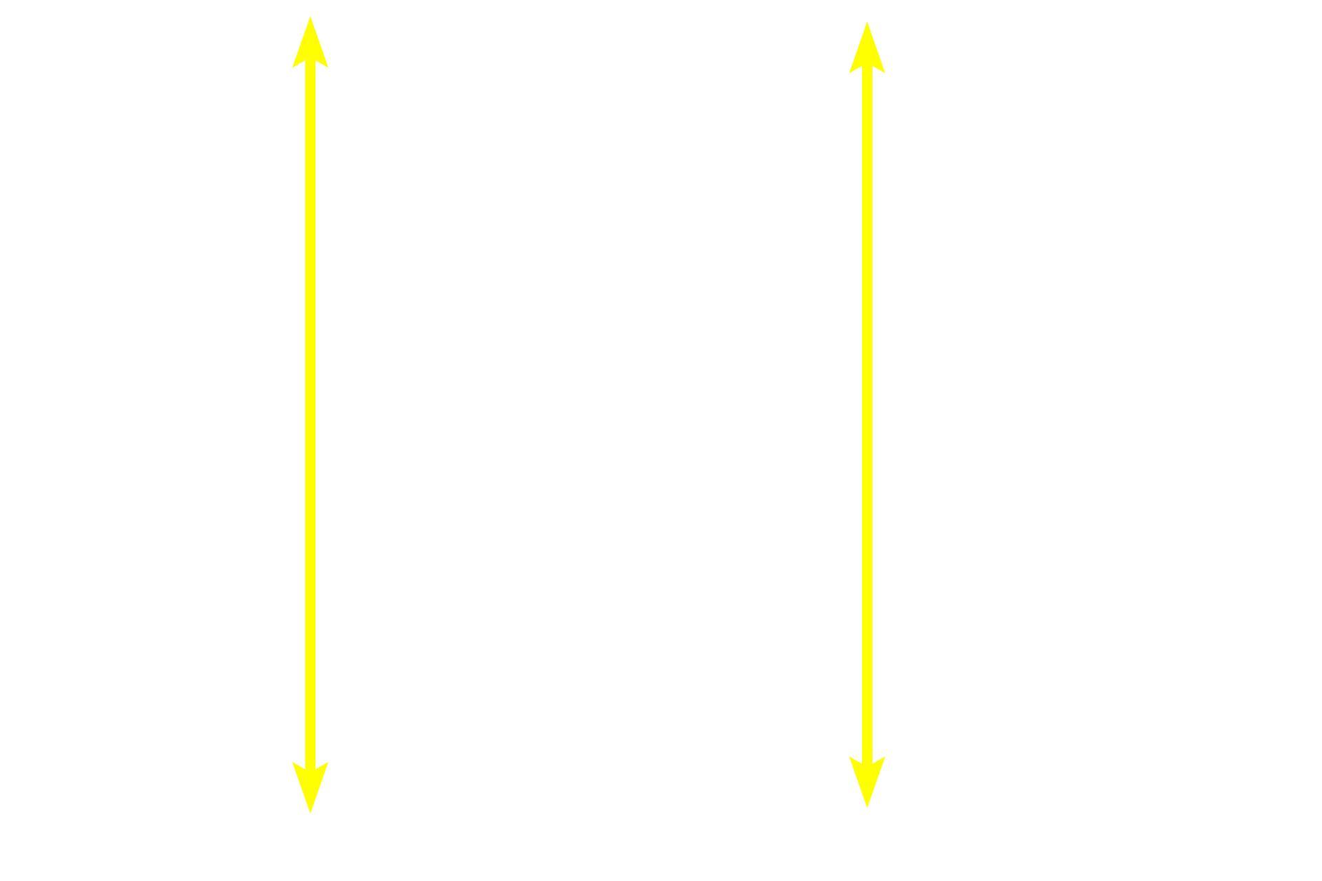 Retina <p>The retina, innermost tunic and light sensing part of the eye, is embryologically a part of the central nervous system, as is the optic nerve that connects the retina to the brain.  The sensory retina consists of a multilayered, photosensitive, neural retina and its underlying, non-visual pigment epithelium, which absorbs light, thus reducing glare.  800x</p>
