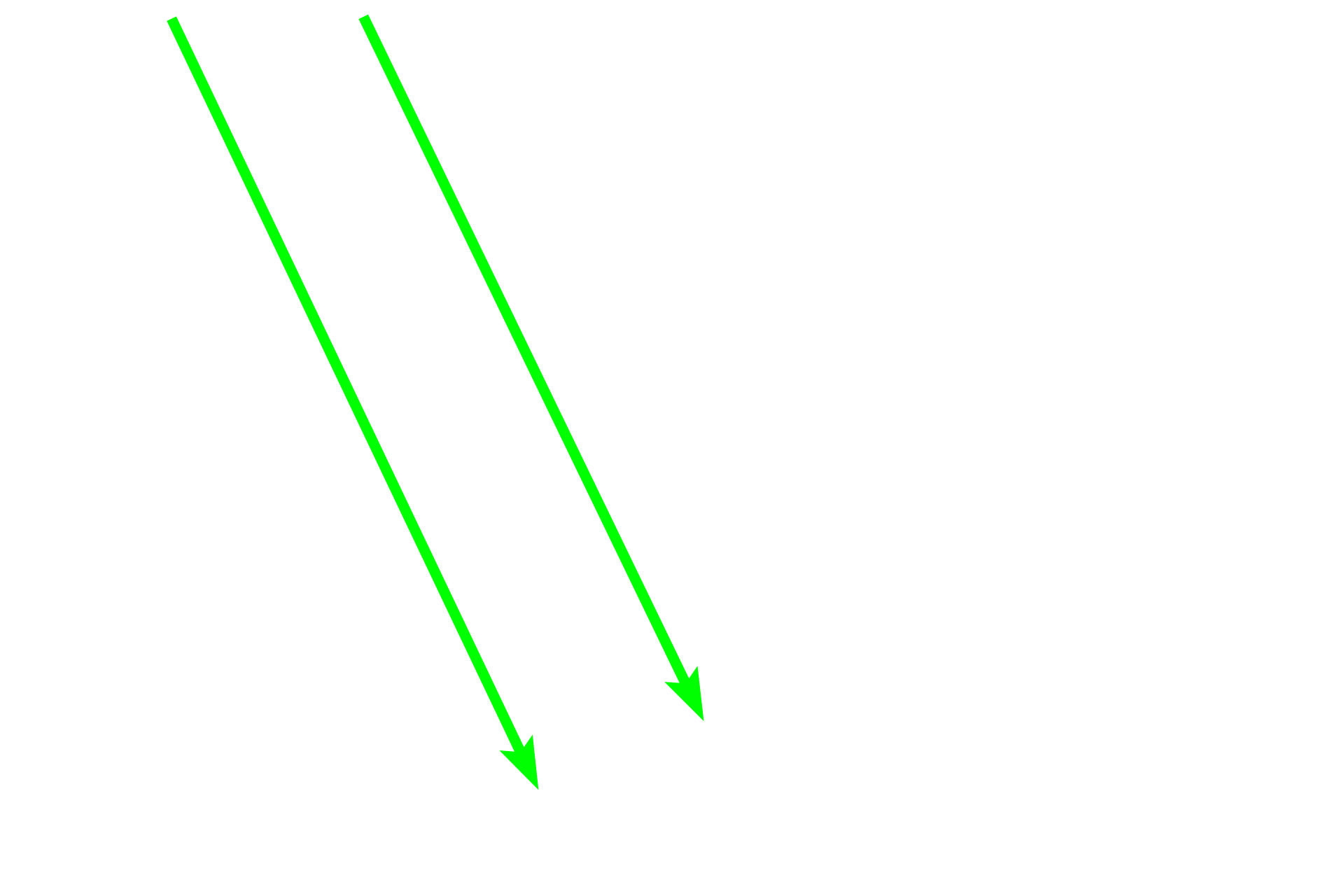 Light pathway > <p>In most areas of the retina, light must pass through the entire retina to reach the photoreceptors (rods and cones), where it is transduced into neural signals.  In the region of the retina with greatest visual acuity, the fovea, the bipolar and ganglion cells are displaced laterally, allowing light to directly reach the photoreceptors.</p>
