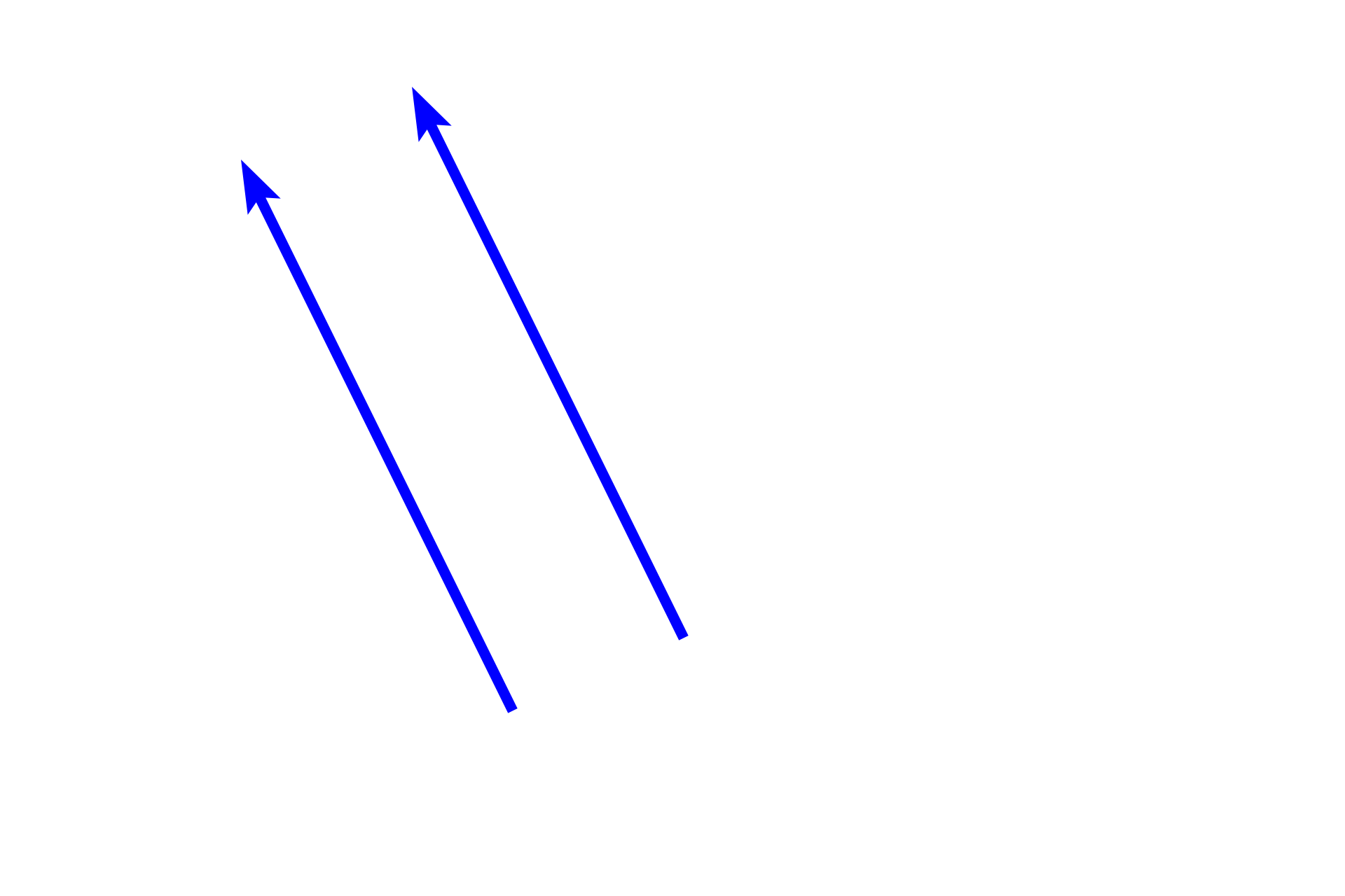 Neural pathway > <p>Visual signals originate in the photoreceptors and are transmitted in the opposite direction from the light path, i.e., from photoreceptors to bipolar cells to ganglion cells.  Visual integration occurs along this pathway before reaching the ganglion cells, whose axons transmit visual signals to the brain through the optic nerve.</p>
