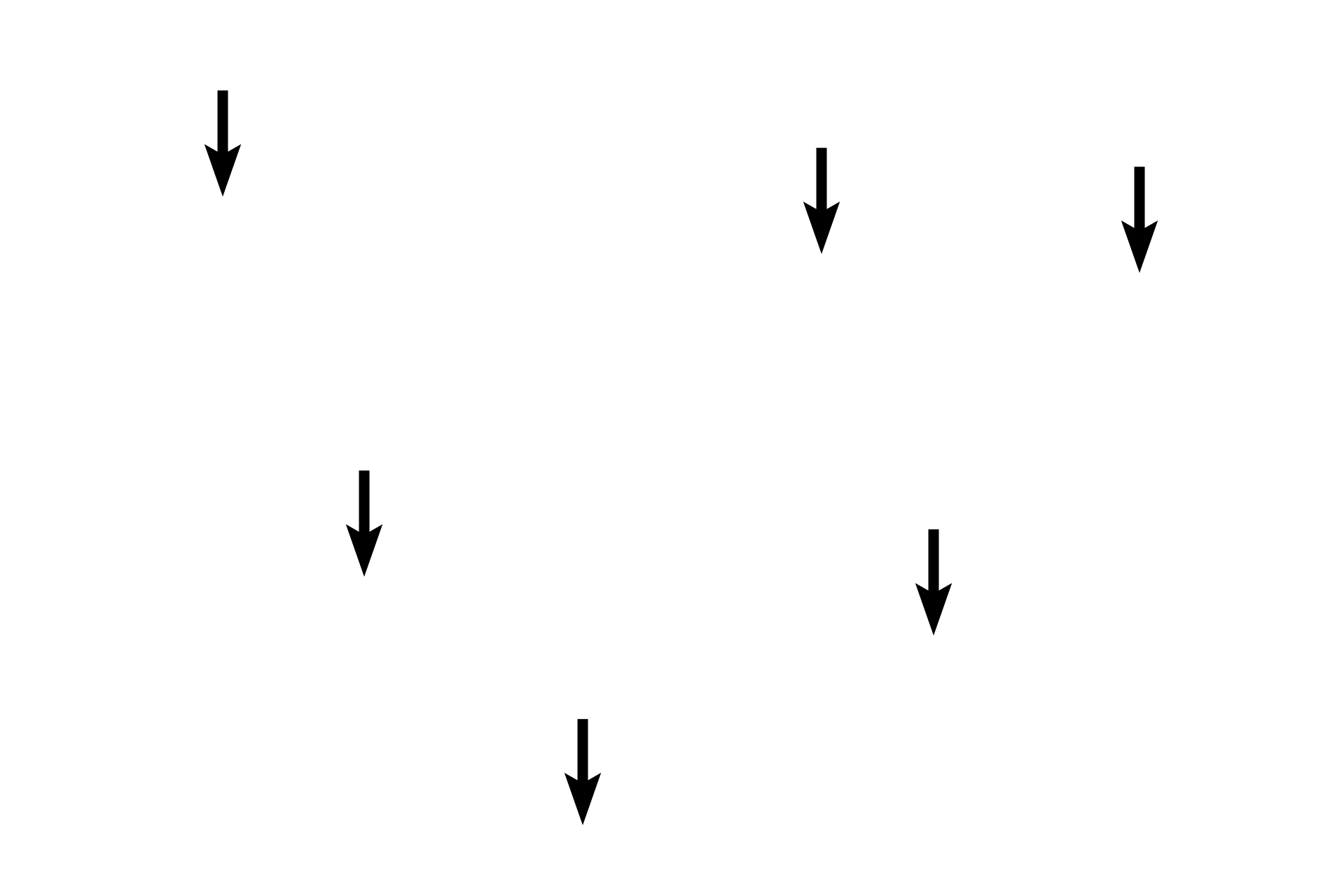 Osteocytes <p>This bone has all the characteristics of spongy bone: anastomosing spicules, endosteal lining, and numerous blood vessels. Additionally, the numerous rounded lacunae, containing osteocytes indicate that this is woven bone. Osteoclasts are also present, demonstrating that bone resorption is occurring simultaneously.</p>
