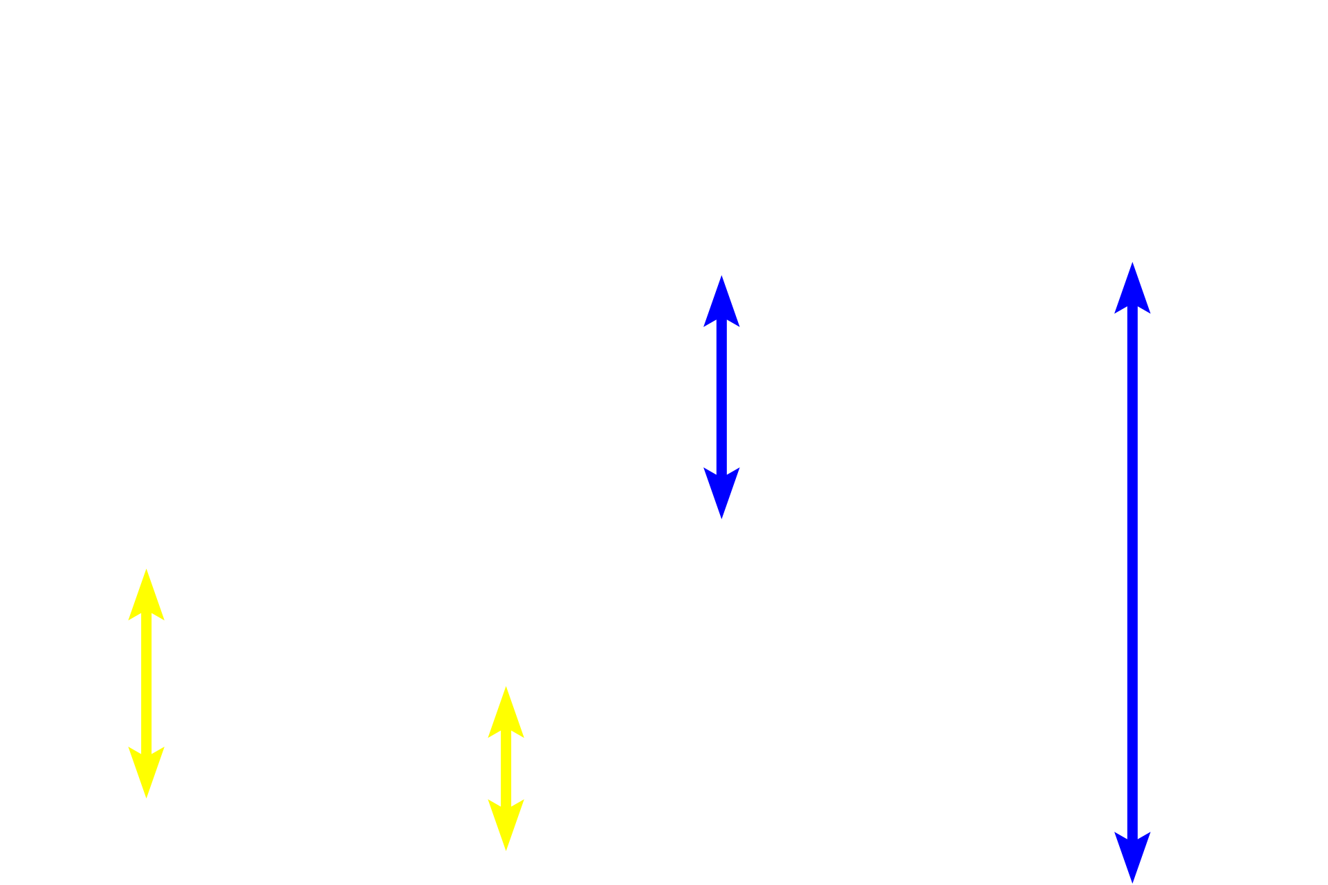 External anal sphincter > <p>The external anal sphincter is composed of skeletal muscle and consists of deep, superficial and subcutaneous regions.  The superficial division (yellow arrows) and the subcutaneous division (blue arrows) are visible in this section.</p>

