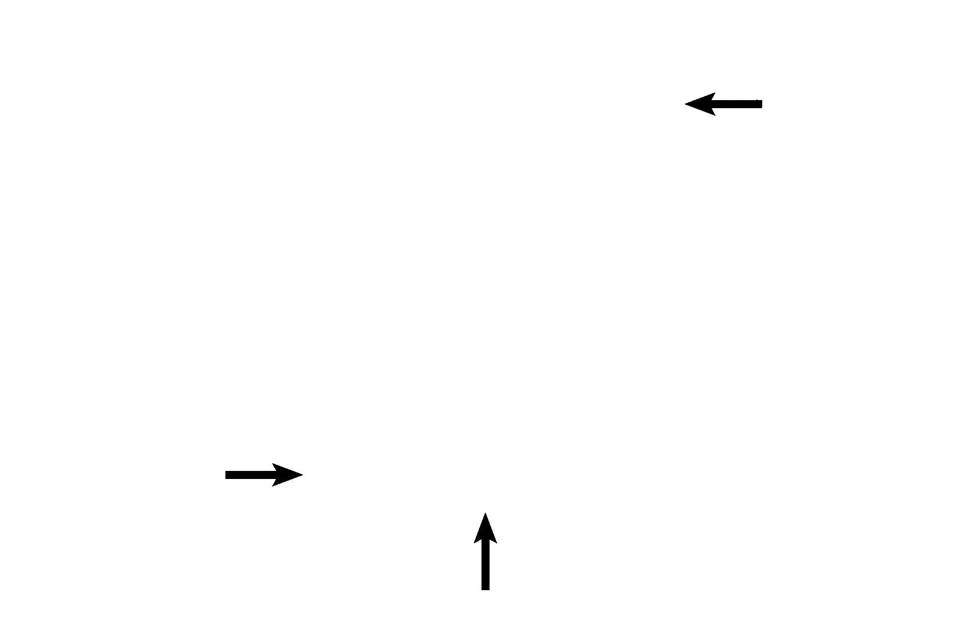 Sebaceous glands <p>Elastic cartilage is found where both support and great flexibility are required. Shown in this image, elastic cartilage forms the flexible framework in the pinna of the external ear that readily bends but rebounds to its original state. Elastic cartilage also forms the framework for the epiglottis and several of the smaller laryngeal cartilages. Elastic cartilage, like hyaline cartilage, has a surrounding perichondrium. 10x</p>
