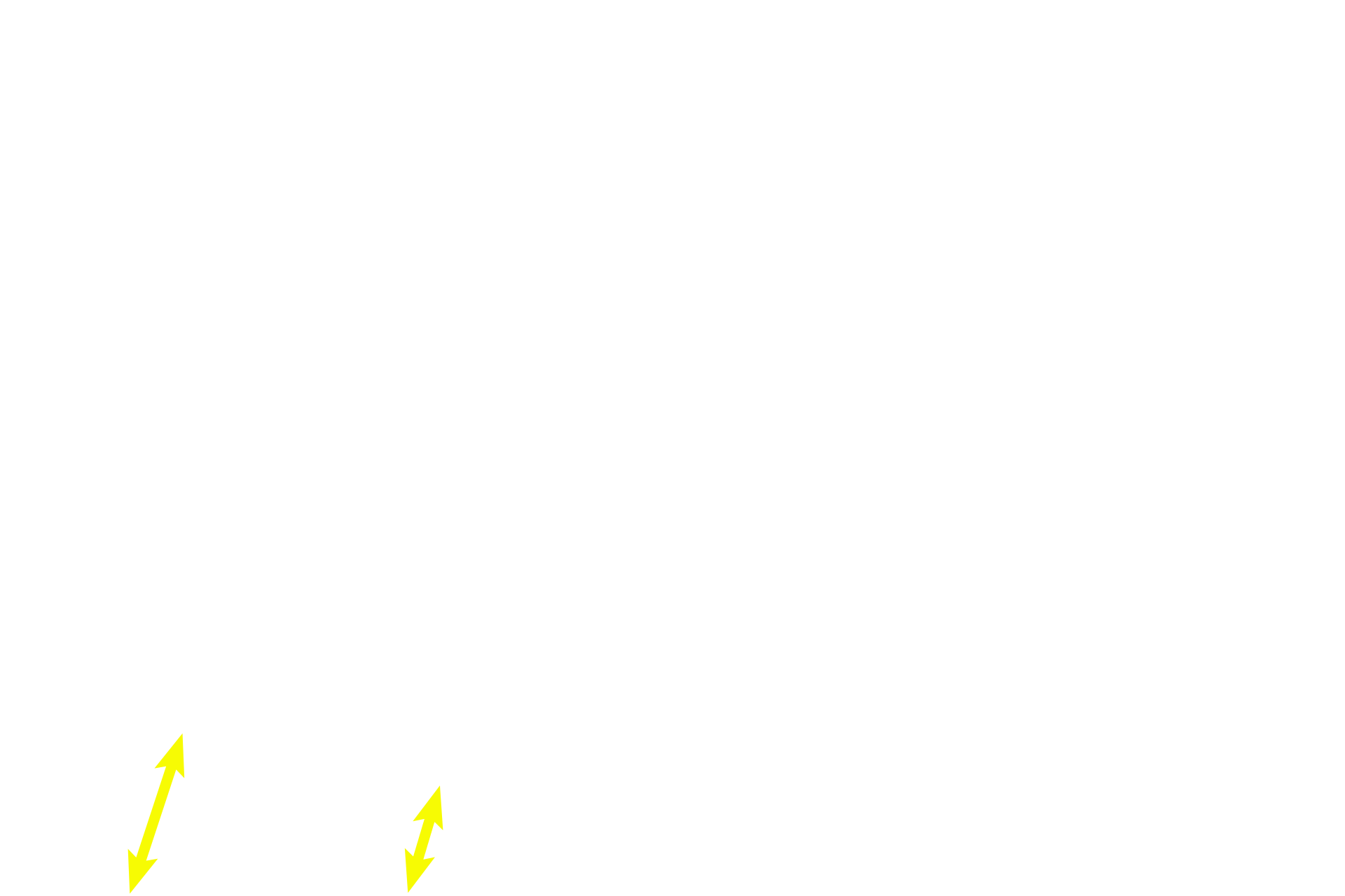  - Fibrous layer > <p>The fibrous layer resembles a dense connective tissue and is a reserve cell layer for the inner layer, the chondrogenic layer. The chondrogenic layer blends imperceptibly with the cartilage, so that its innermost boundary cannot be easily established. Chondroblasts lie in the inner layer immediately adjacent to the cartilage and secrete cartilage matrix around themselves.</p>
