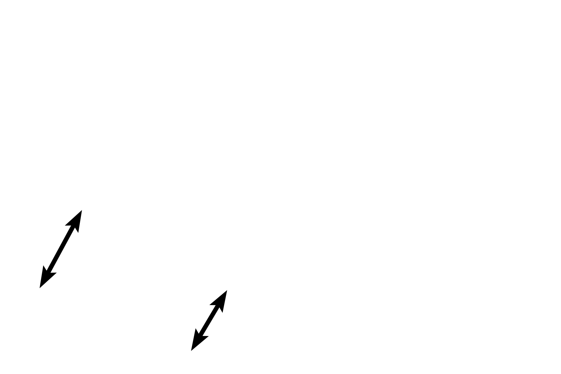 Perichondrium: fibrous layer <p>Multipotential cells in the fibrous layer of the perichondrium differentiate into chondroblasts in the chondrogenic layer. When a chondroblast has surrounded itself with cartilage, it is then called a chondrocyte. A cluster of chondrocytes cloned from a single chondrocyte is an isogenous group, representing interstitial growth of this tissue. Cartilage is avascular and thus chondrocytes are nourished by diffusion. 400x</p>
