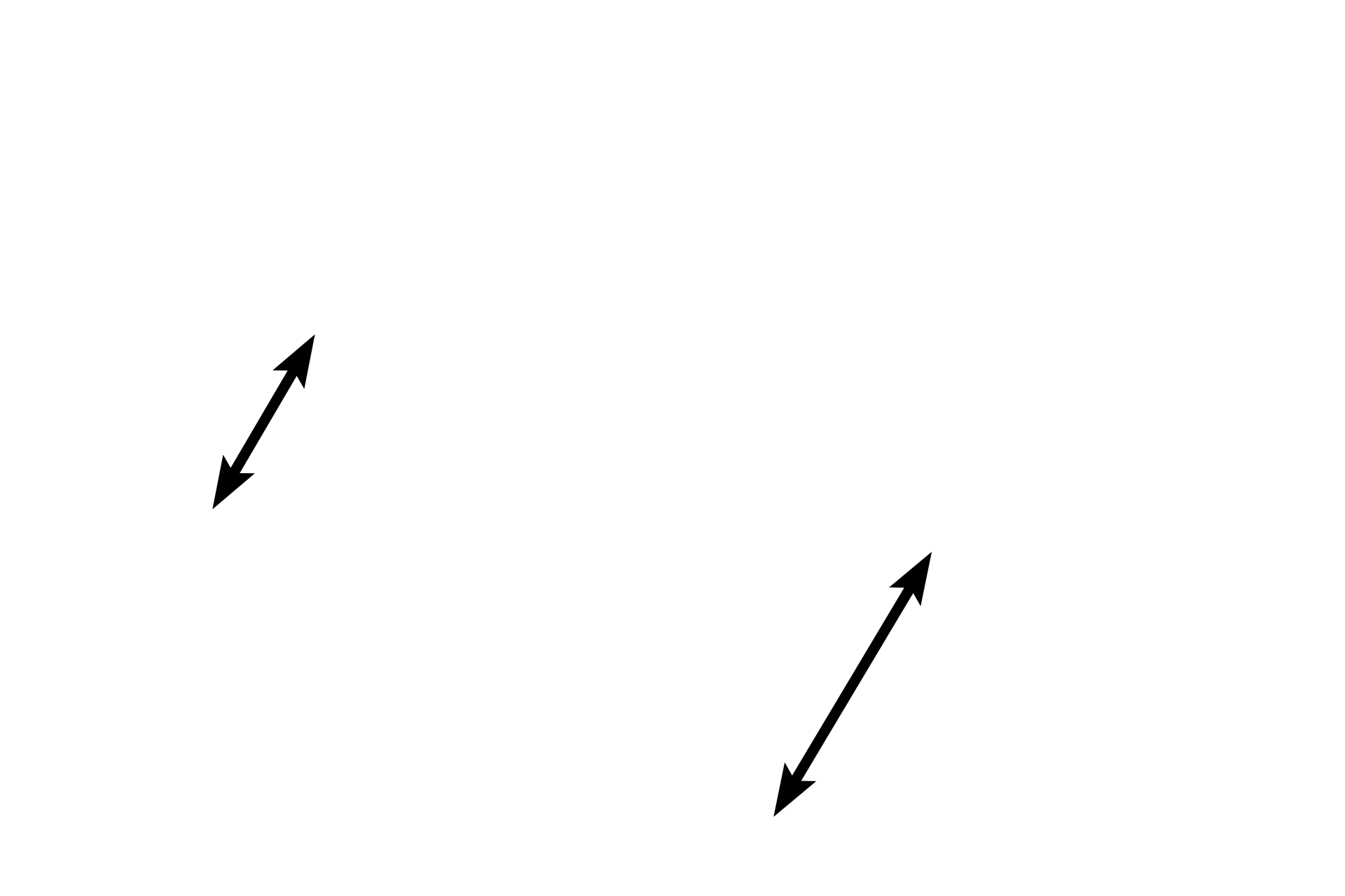 Perichondrium: chondrogenic layer <p>Multipotential cells in the fibrous layer of the perichondrium differentiate into chondroblasts in the chondrogenic layer. When a chondroblast has surrounded itself with cartilage, it is then called a chondrocyte. A cluster of chondrocytes cloned from a single chondrocyte is an isogenous group, representing interstitial growth of this tissue. Cartilage is avascular and thus chondrocytes are nourished by diffusion. 400x</p>
