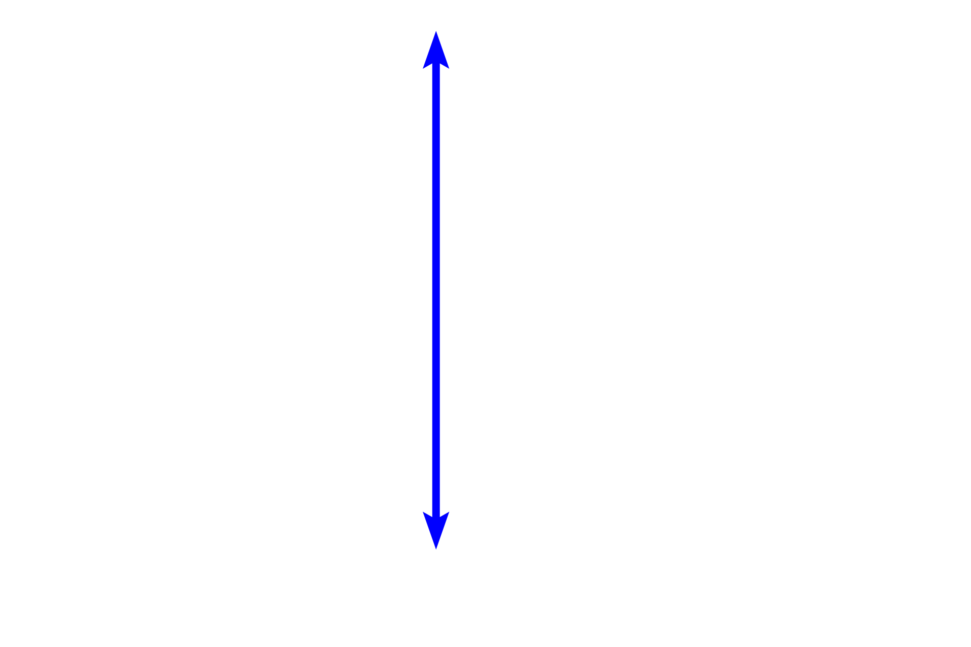 Lobule > <p>Brown adipose tissue is subdivided into lobules by connective tissue septa, however the connective tissue stroma within the lobule is sparse. The tissue has a rich supply of capillaries. In newborns, brown adipose tissue makes up about 5% of the total body mass and is primarily located on the back, along the upper half of the spine, and toward the shoulders. It disappears during childhood.</p>
