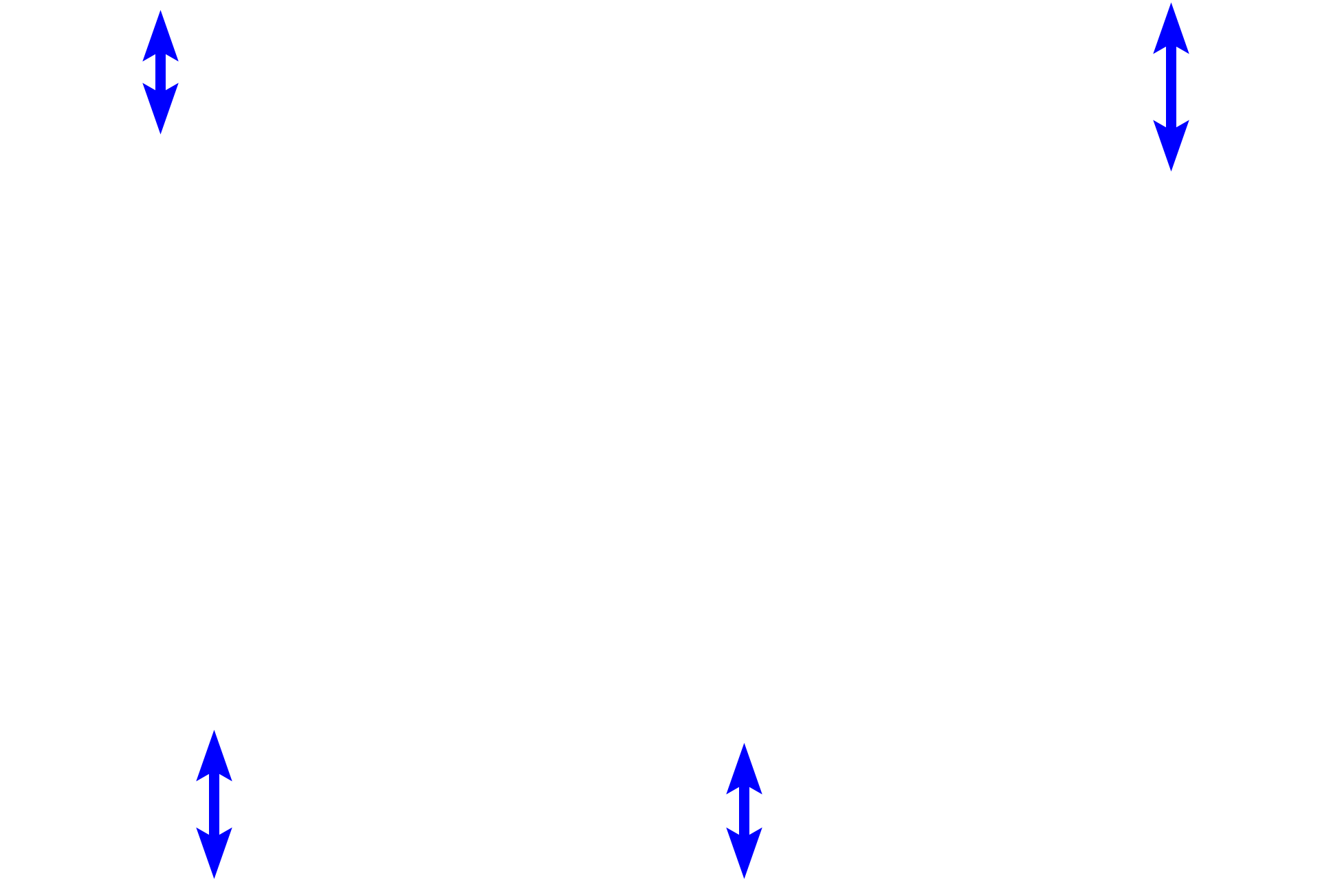 Connective tissue <p>Brown adipose tissue is subdivided into lobules by connective tissue septa, however the connective tissue stroma within the lobule is sparse. The tissue has a rich supply of capillaries. In newborns, brown adipose tissue makes up about 5% of the total body mass and is primarily located on the back, along the upper half of the spine, and toward the shoulders. It disappears during childhood.</p>
