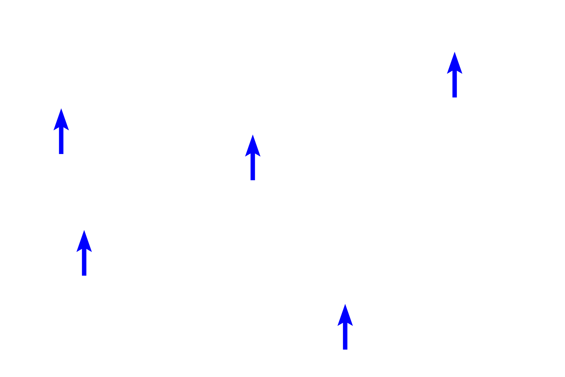 Lipid droplets > <p>The oxidation of lipids in most cells is coupled to the production of ATP in mitochondria. However, in multilocular adipocytes, metabolism of lipid generates heat in process known as non-shivering thermogenesis. This alternate path results from the presence of an uncoupling protein that which uncouples the oxidation of fatty acids from the production of ATP in the mitochondria.</p>
