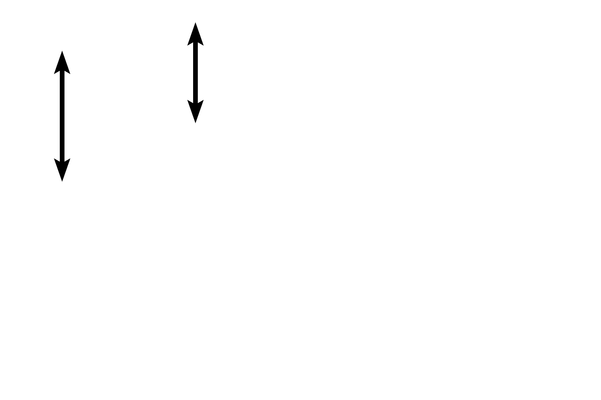 Cardiac muscle fibers of the myocardium <p>Purkinje fibers are modified cardiac muscle cells.  They are larger than ventricular muscle cells and they have one or two round nuclei.  Additionally, myofibrils are sparse and restricted to the periphery of the cells.  The cytoplasm is rich in mitochondria and glycogen; the glycogen-rich center portion of the cell stains palely with hematoxylin and eosin.  After traveling in the subendocardium, Purkinje fibers penetrate the ventricular myocardium to innervate cardiac muscle fibers.  1000x</p>
