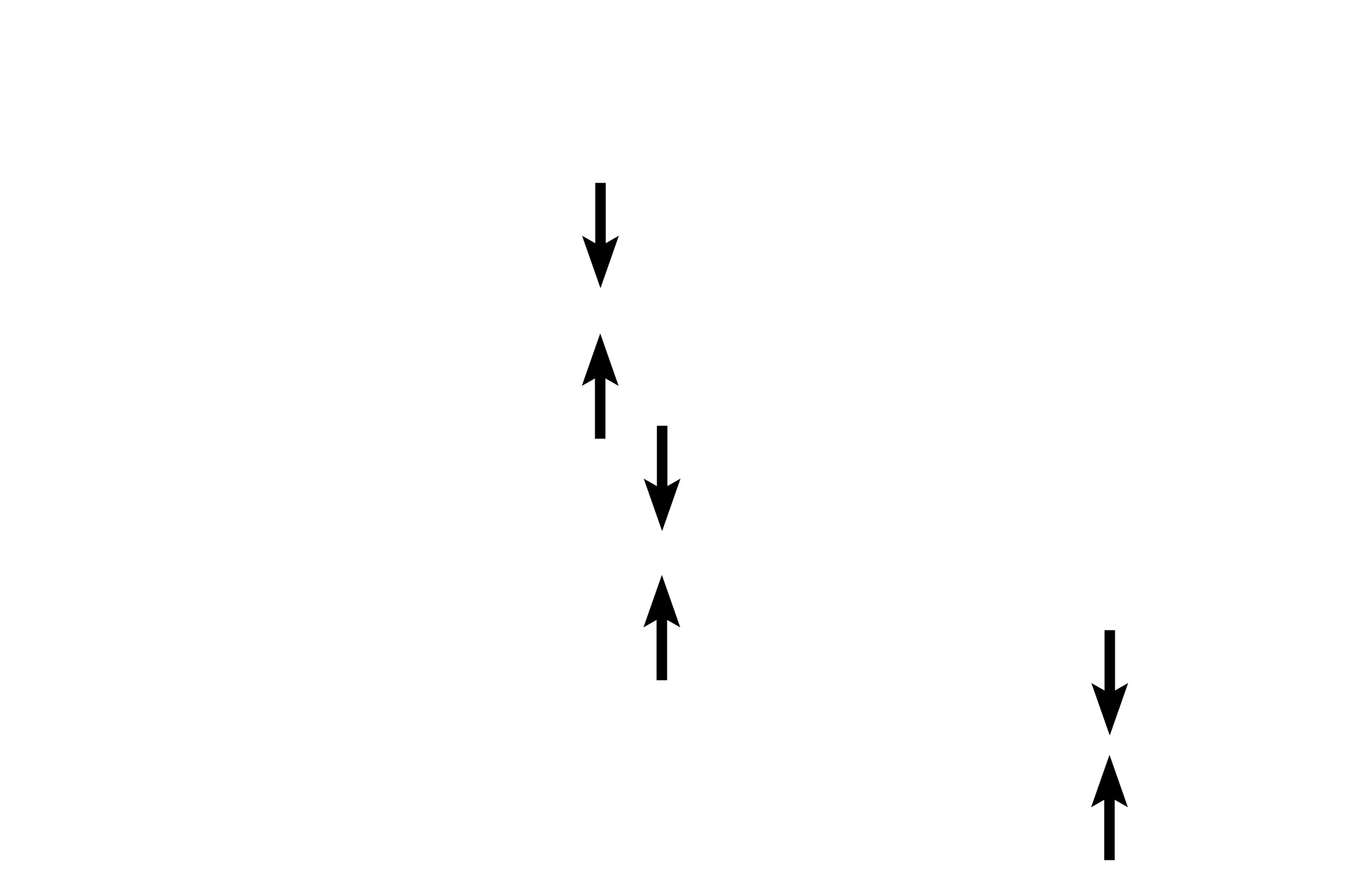 Tunica adventitia <p>Arteries and veins of similar caliber often travel together along with nerves. They are surrounded by a connective tissue sheath forming a neurovascular bundle. In this image, compare the relative thicknesses of the tunica media (thicker in artery) and tunica adventitia (thicker in vein) in these medium-sized vessels. A valve is present in the vein and represents a modification of the tunica intima. These valves prevent the backflow of blood due to gravity. Valves are not present in arteries. 40x</p>
