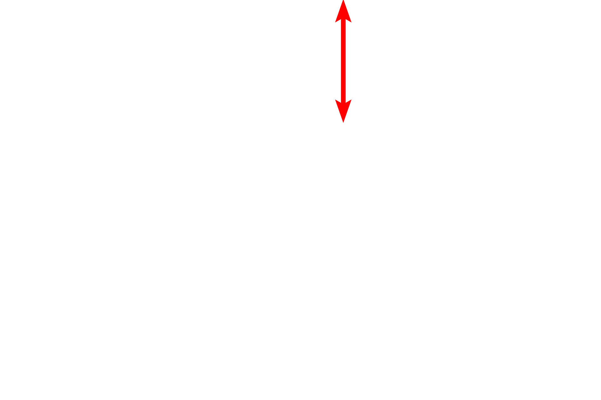 Nucleus <p>In actively secreting cells, the RER is very extensive and consists of large numbers of interconnecting, flattened sacs or cisterns.  Also visible in this field is the nuclear envelope showing ribosomes on the cytoplasmic surface of the outer nuclear membrane.  Mitochondria and lipid droplets are also present.  40,000x</p>
