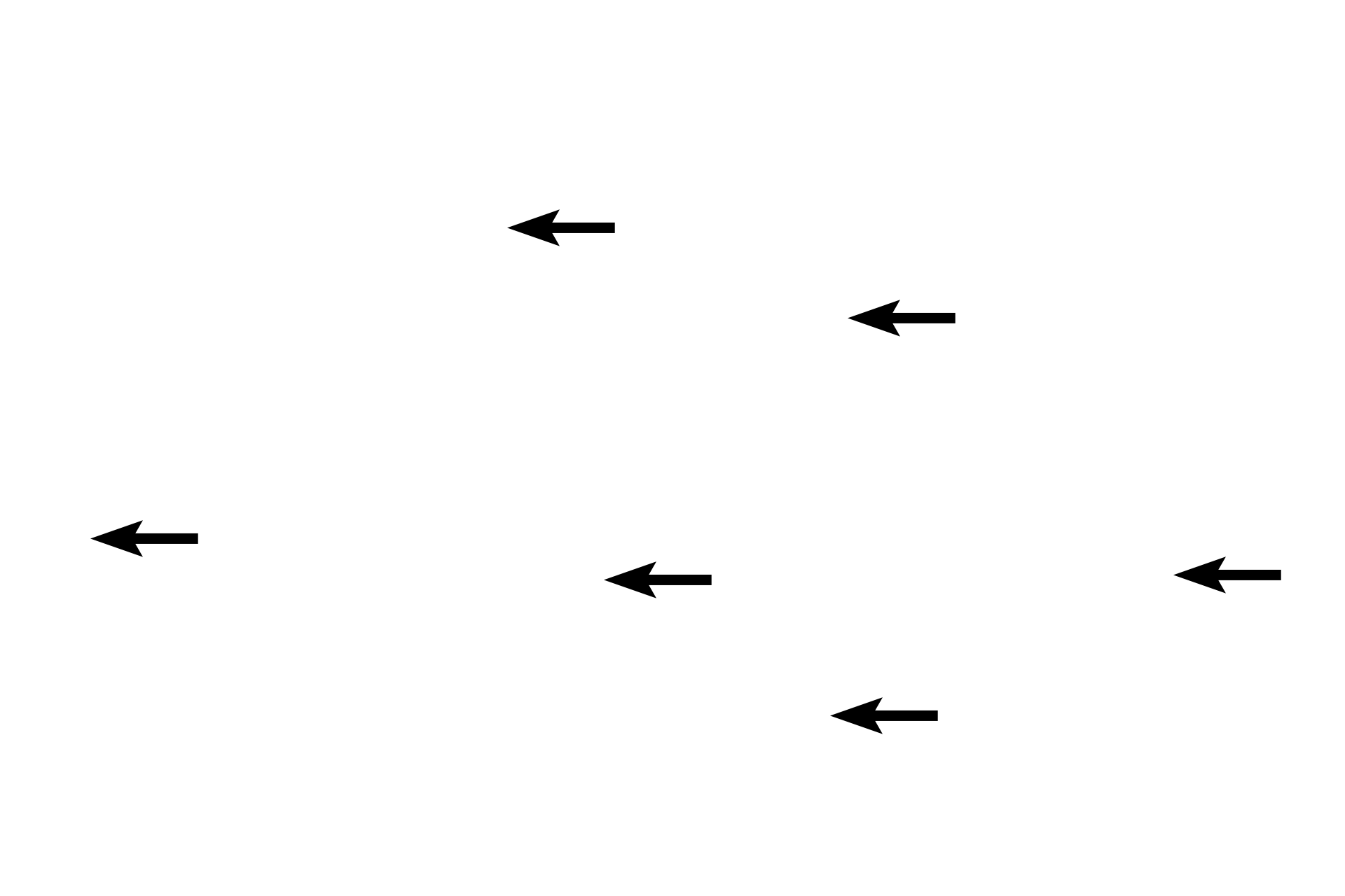 Osteocytes > <p>Osteocytes are visible throughout this tissue and their pattern of distribution is a good indicator of the type of bone in which they are located.</p>
