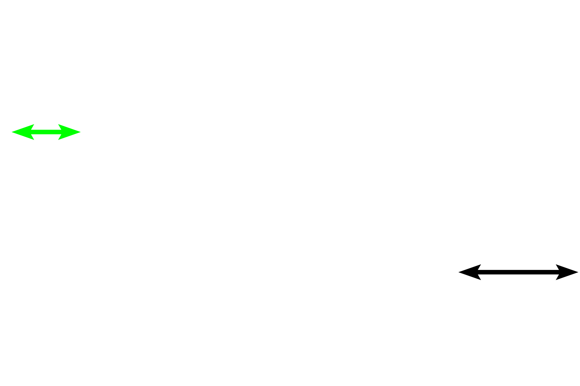  - Circumferential lamellae > <p>The interior and exterior surfaces are covered by lamellae of bone deposited in flat sheets, rather than being arranged in cylindrical Haversian systems. The exterior is covered by outer circumferential lamellae (black arrow); the interior is lined by inner circumferential lamellae (green arrow). These lamellae are laid down by the periosteum and the endosteum, respectively.</p>
