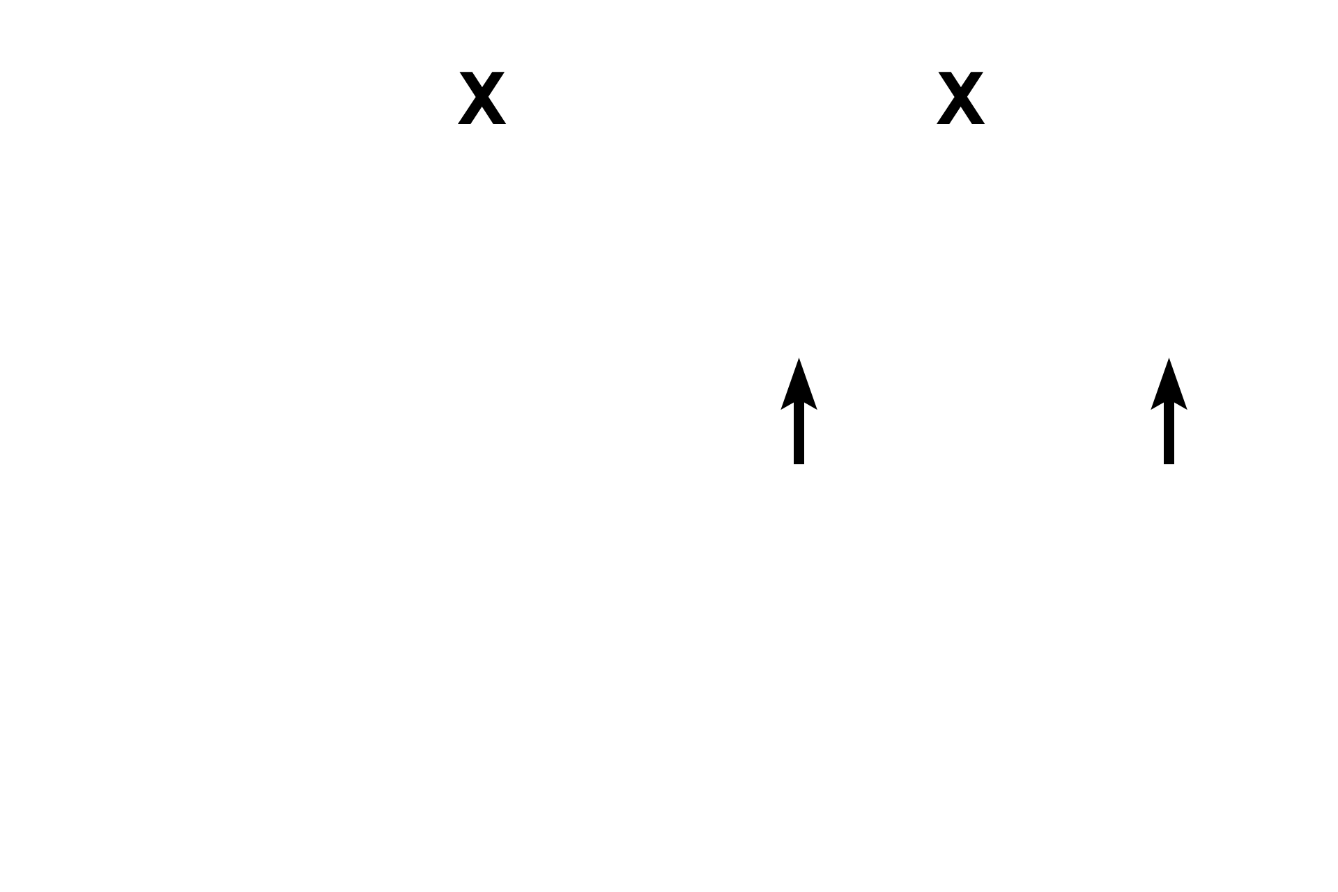  - Matrix <p>Multipotential cells in the fibrous layer of the perichondrium differentiate into chondroblasts in the chondrogenic layer. When a chondroblast has surrounded itself with cartilage, it is then called a chondrocyte. A cluster of chondrocytes cloned from a single chondrocyte is an isogenous group, representing interstitial growth of this tissue. Cartilage is avascular and thus chondrocytes are nourished by diffusion. 400x</p>

