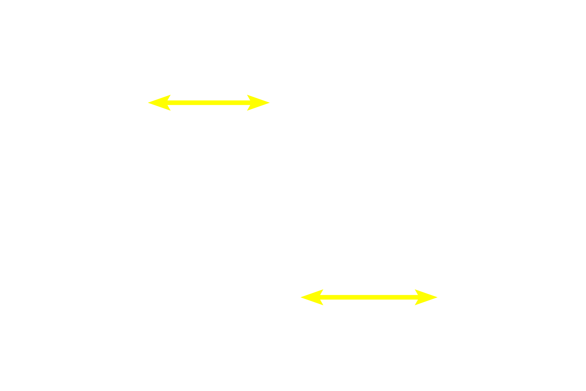 Interterritorial matrix <p>Isogenous groups and interstitial growth results when chondrocytes divide and produce extracellular matrix. Territorial matrix lies immediately around each isogenous group and is high in glycosaminoglycans. Therefore, this matrix stains more intensely than matrix farther from an isogenous group, the interterritorial matrix. Collagen fibrils are not visible in hyaline cartilage matrix. 1000x</p>
