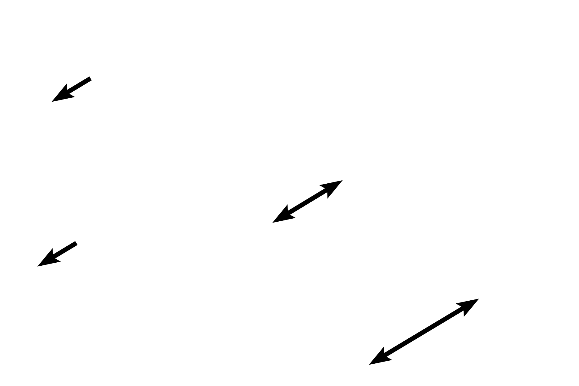 Loose connective tissue <p>This section of skin is stained with the Movat pentachrome stain.  This combination stain distinguishes elastic fibers (stained black) from collagen fibers (stained yellow).  It also labels the ground substance, staining it turquoise.  Note how elastic fibers are intermixed with collagen bundles. Elastic fibers provide the elasticity needed for connective tissues to stretch and recoil to their original shape. 400x</p>
