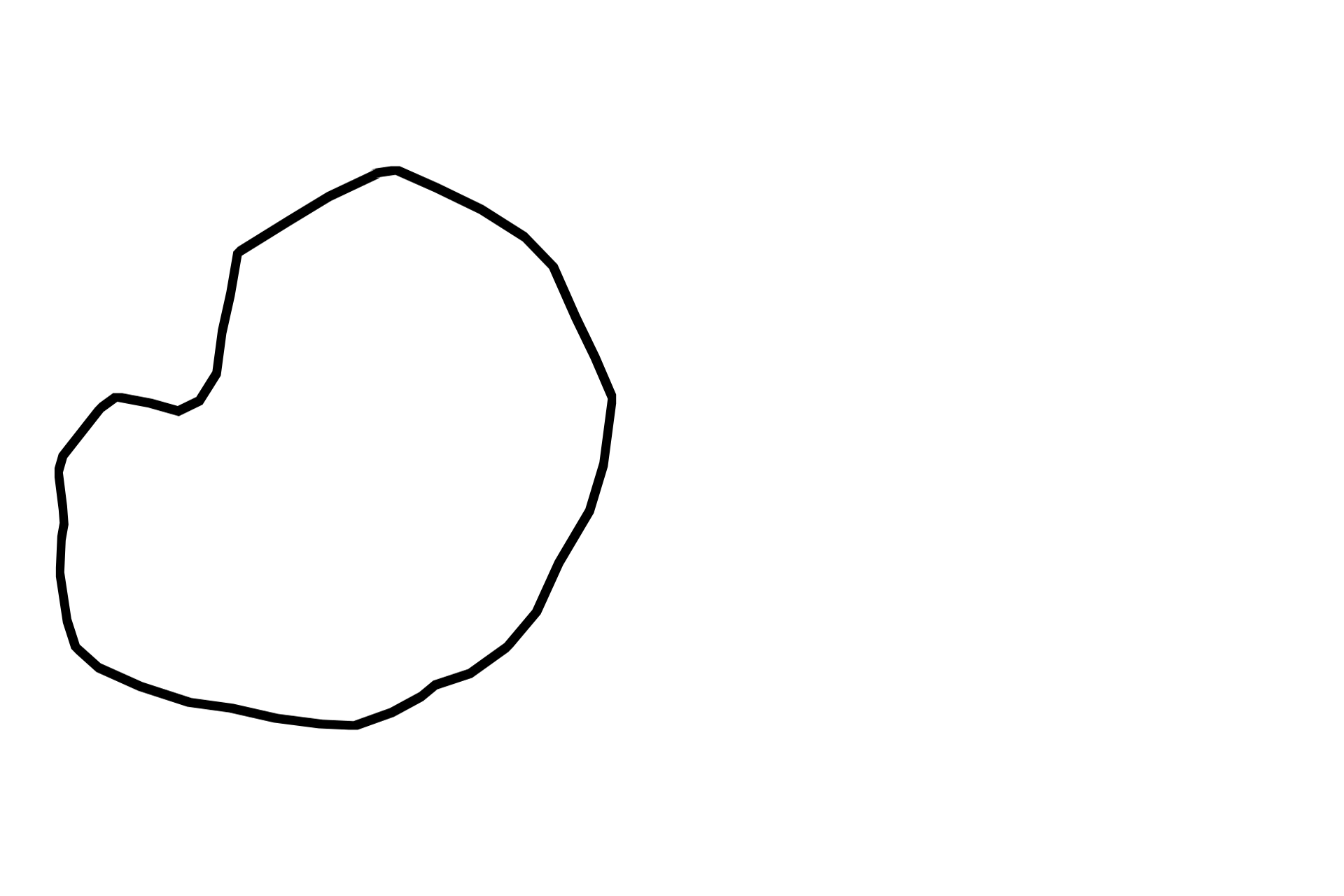 Acinus > <p>An acinus resembles a grapefruit cut in half, with each grapefruit segment representing an individual cell.  The RER and nucleus are basally located in the cells, while their secretory granules are present in the apical regions.  At the center of the acinus is a narrow lumen.  Acinar secretions are watery or serous which enter the small central lumen.</p>
