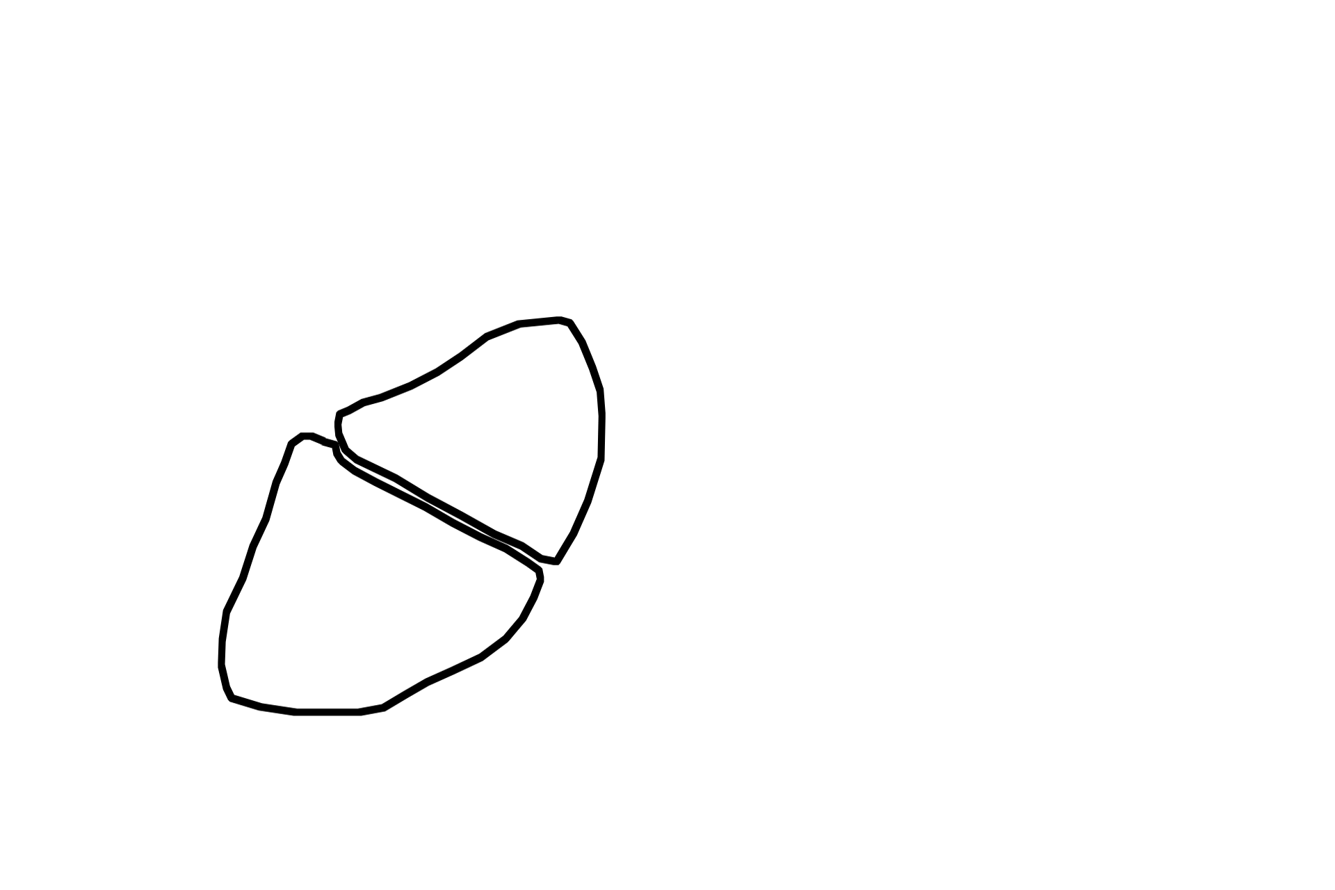  - Gland cells <p>An acinus resembles a grapefruit cut in half, with each grapefruit segment representing an individual cell.  The RER and nucleus are basally located in the cells, while their secretory granules are present in the apical regions.  At the center of the acinus is a narrow lumen.  Acinar secretions are watery or serous which enter the small central lumen.</p>
