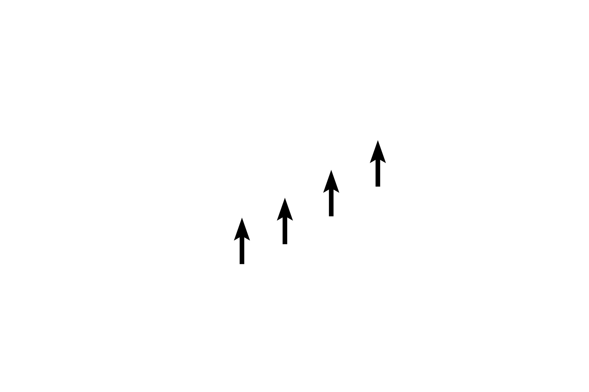 A bands > <p>The dark A band corresponds to the length of the thick filaments. Additionally, the H band appears as a paler region in the center of the A band.</p>
