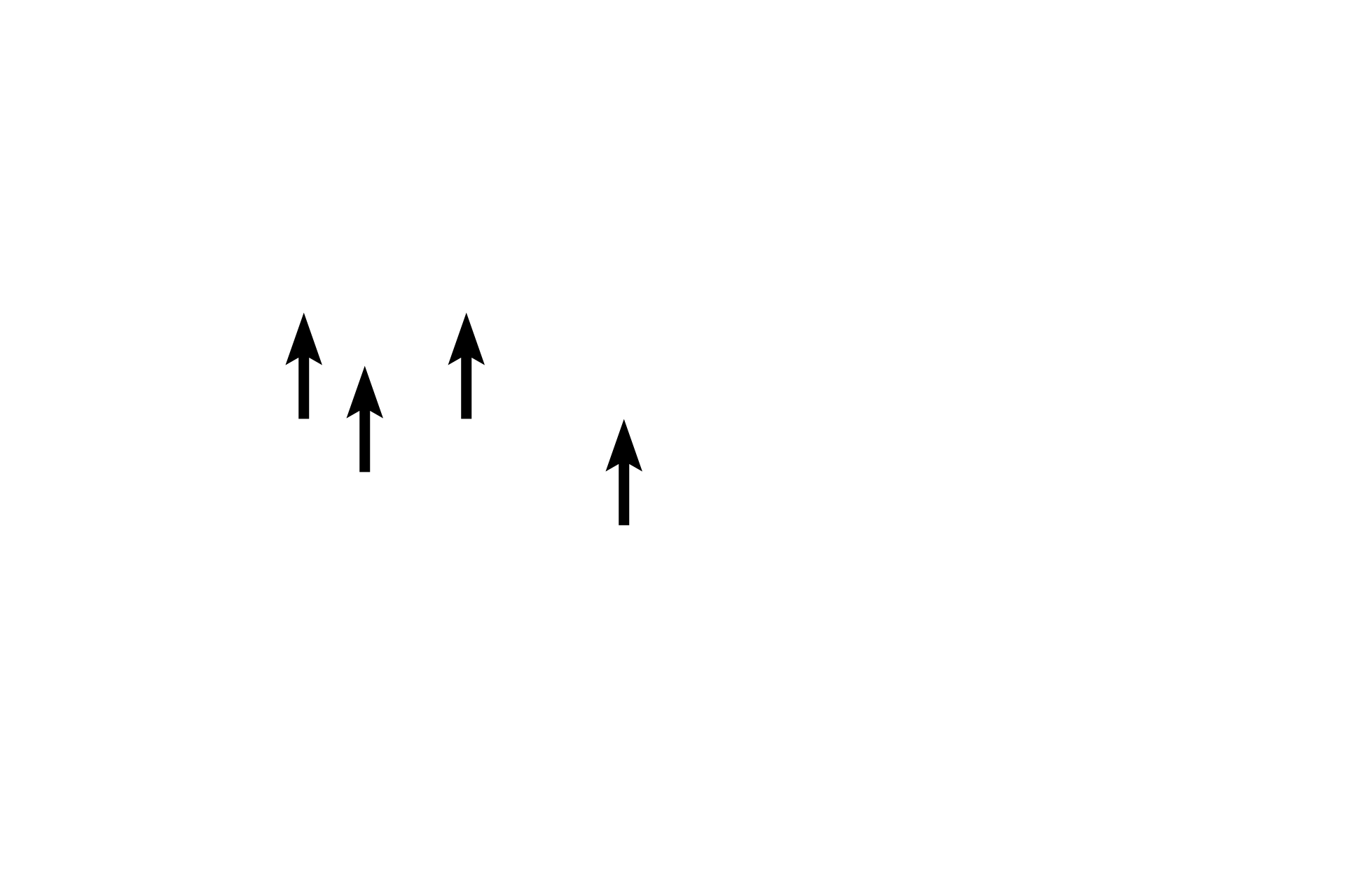  - H band <p>The dark A band corresponds to the length of the thick filaments. Additionally, the H band appears as a paler region in the center of the A band.</p>
