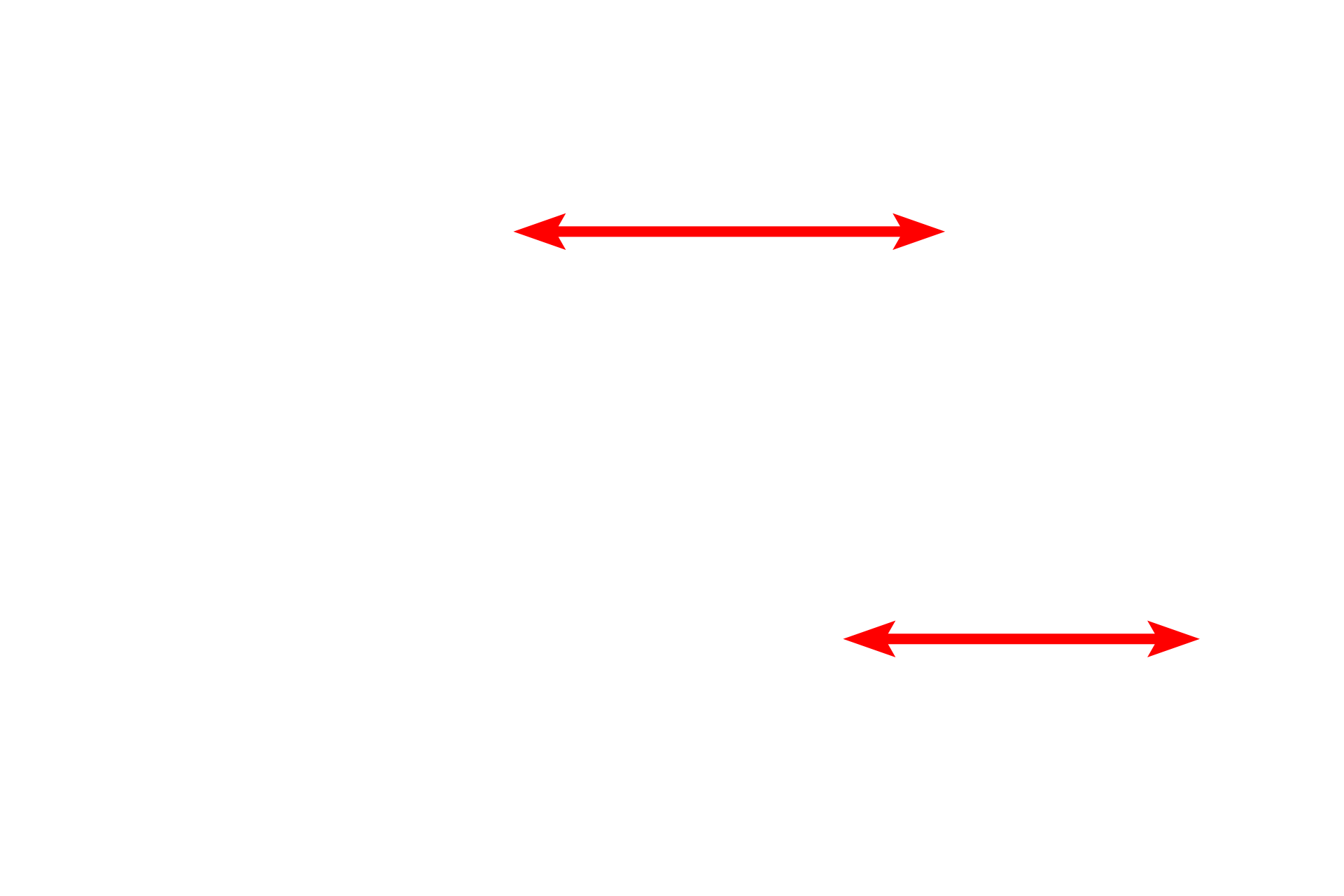 Endomysium <p>Skeletal muscle fibers secrete an external lamina that lies immediately adjacent to the sarcolemma (cell membrane). Outside the basal lamina is a layer of reticular fibers, produced by fibroblasts, which form the endomysium. Some consider the basal lamina to be a component of the endomysium. 15,000x</p>
