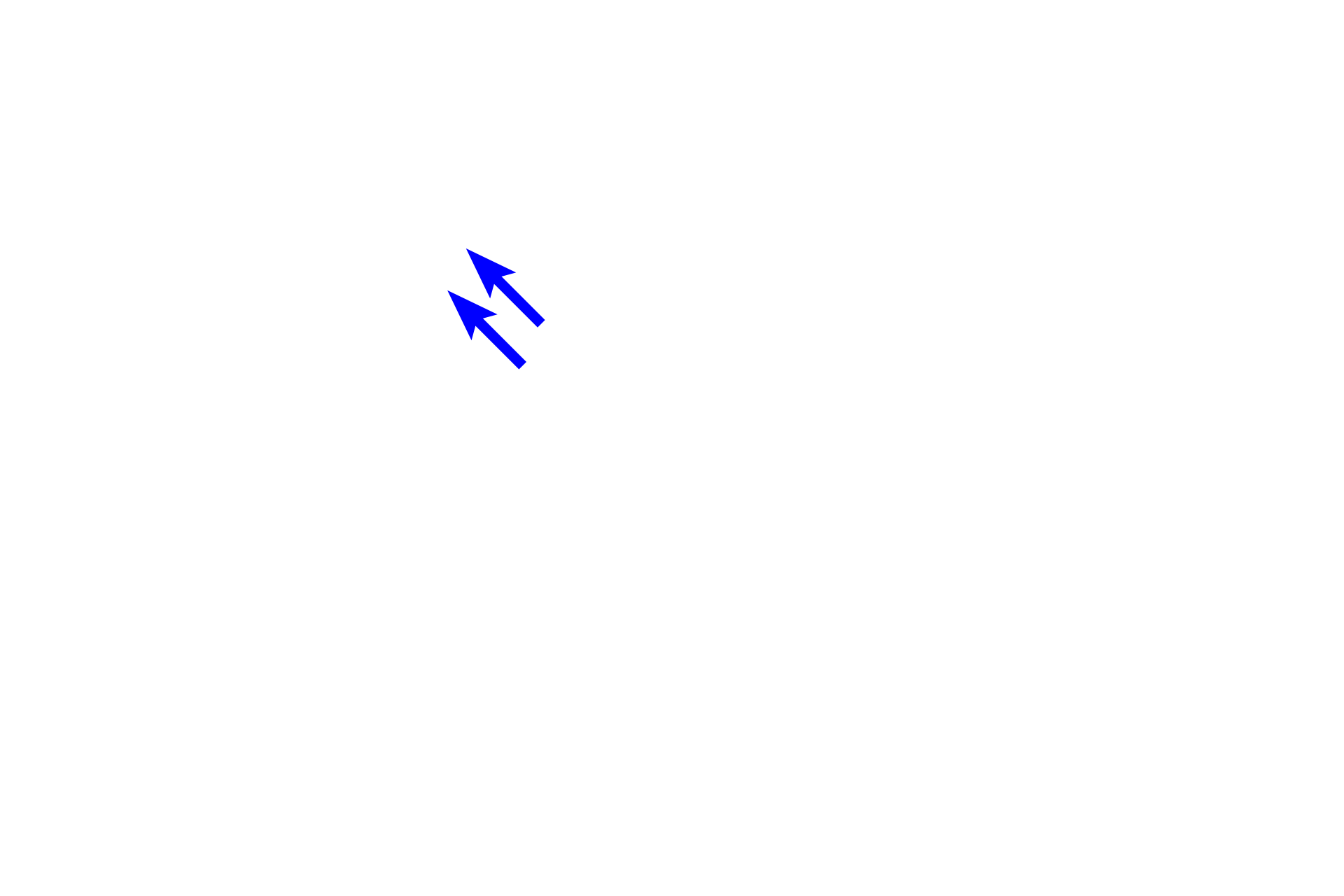 Distal convoluted tubule > <p>The continuation of the ascending thick limb beyond the juxtaglomerular apparatus is distal convoluted tubule.  It is much shorter than the proximal convoluted tubule and eventually joins with the collecting passageways.</p>
