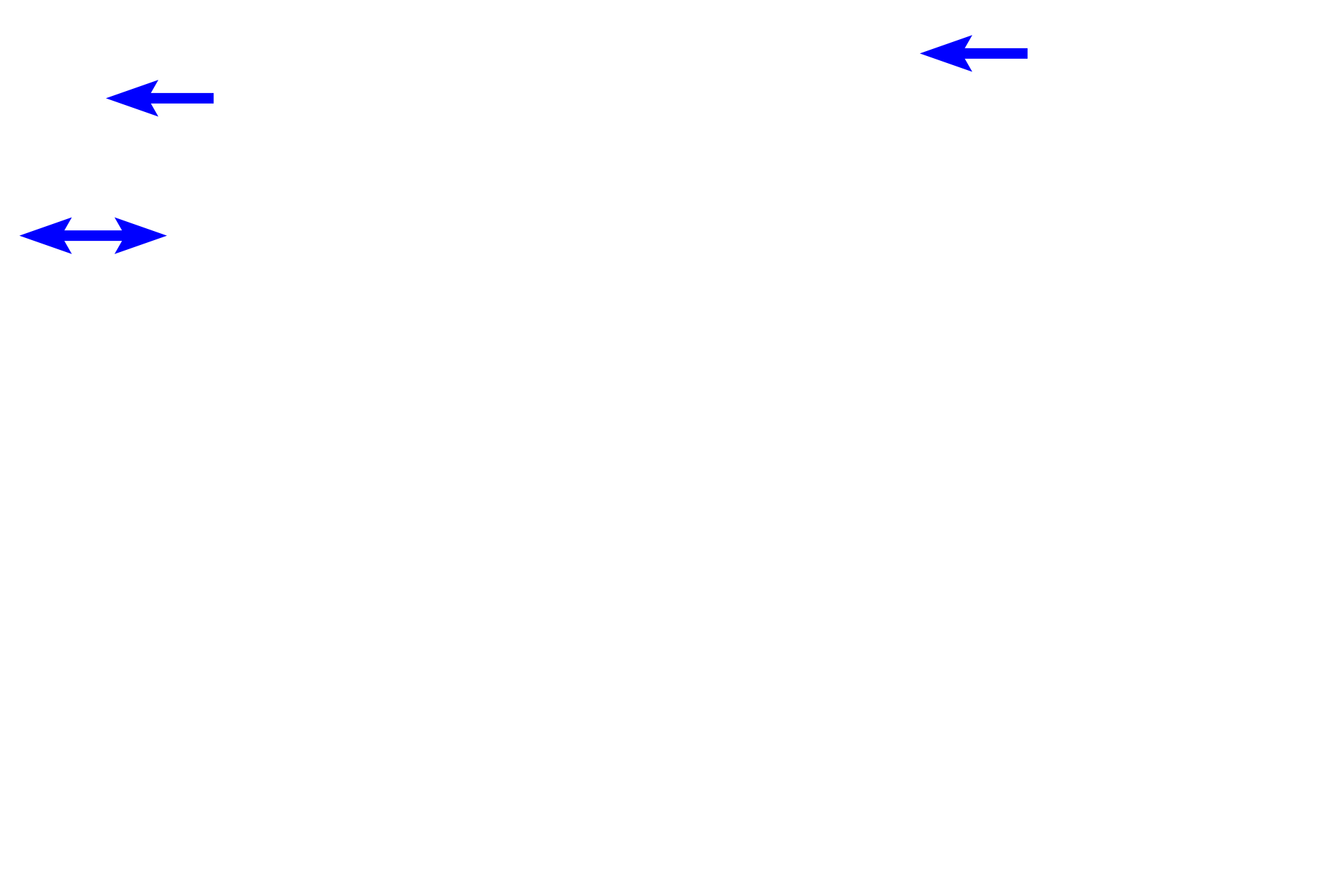 Distal convoluted tubules <p>The glomerular tuft of capillaries is surrounded by the visceral layer of Bowman’s capsule, whose modified cells form podocytes.  The parietal layer of Bowman’s capsule is composed of simple squamous epithelium.  10x, 400x</p>
