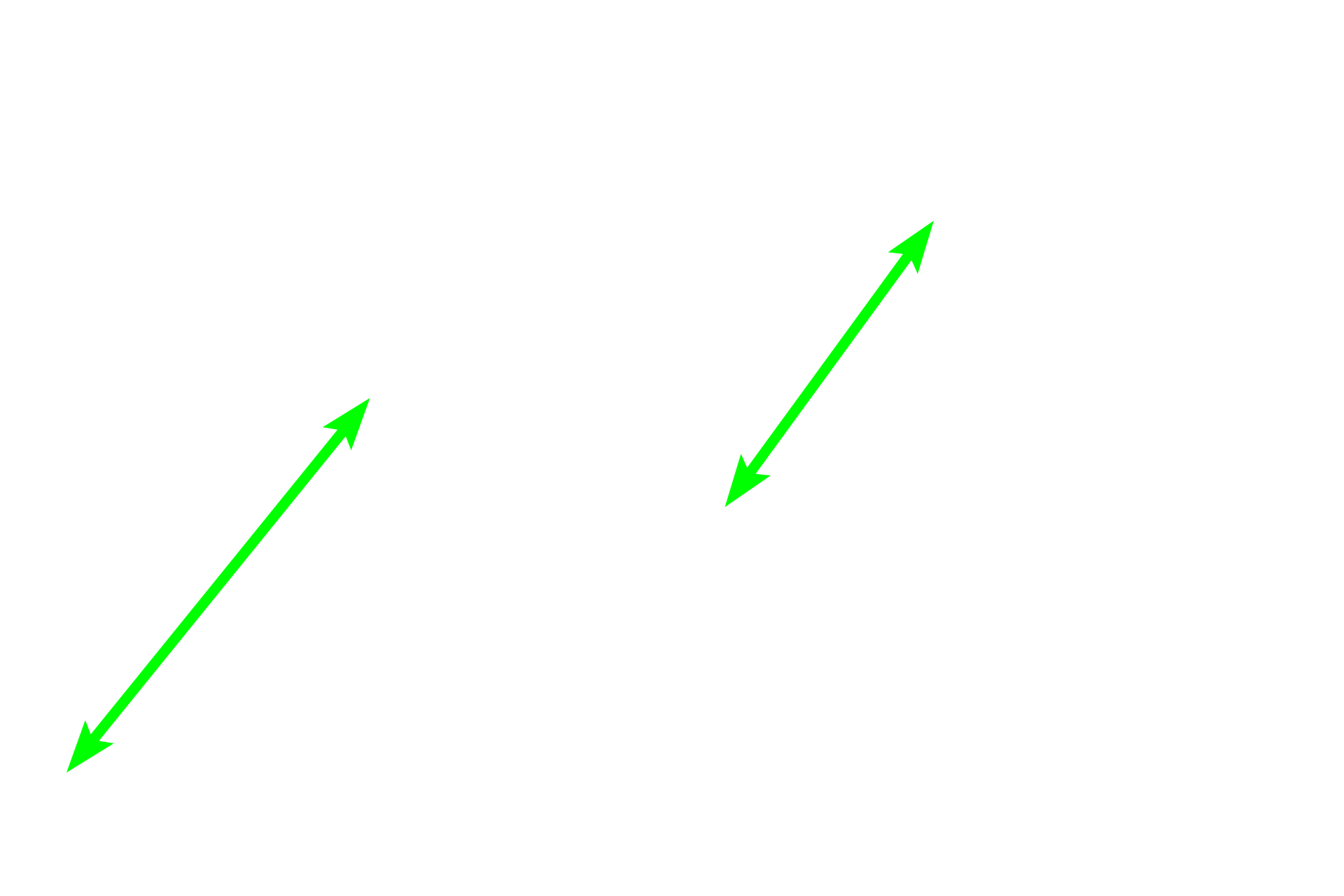 Neuronal cell bodies <p>Pseudounipolar neurons extend a single stem process that initially forms a twisted glomerulus-like structure.  Thereafter, it branches into central and peripheral processes, which are both functionally and structurally axonal.  This branching is not visible in this image.  Silver stain, 1000x</p>
