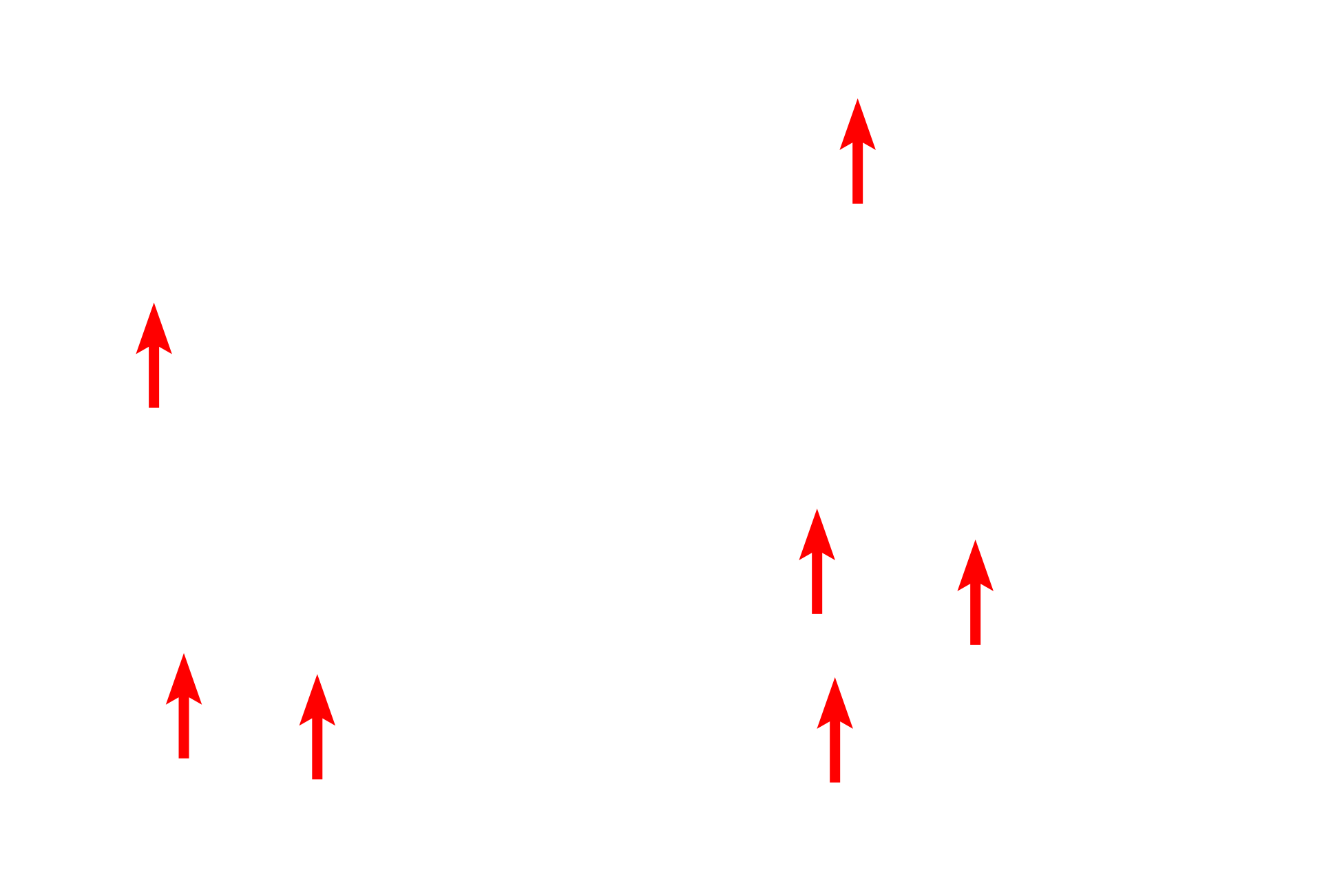 Oligodendrocytes and astrocytes <p>The shape of multipolar neurons can be highly variable and unique for specific regions of the brain.  Pyramidal neurons, seen here in the cerebral cortex, have pyramidal-shaped cell bodies and a thick apical dendrite.  Several lateral dendrites also extend from the base of the cell body, as does the axon.  Nuclei of glial cells (astrocytes and oligodendrocytes) are also visible. 400x</p>
