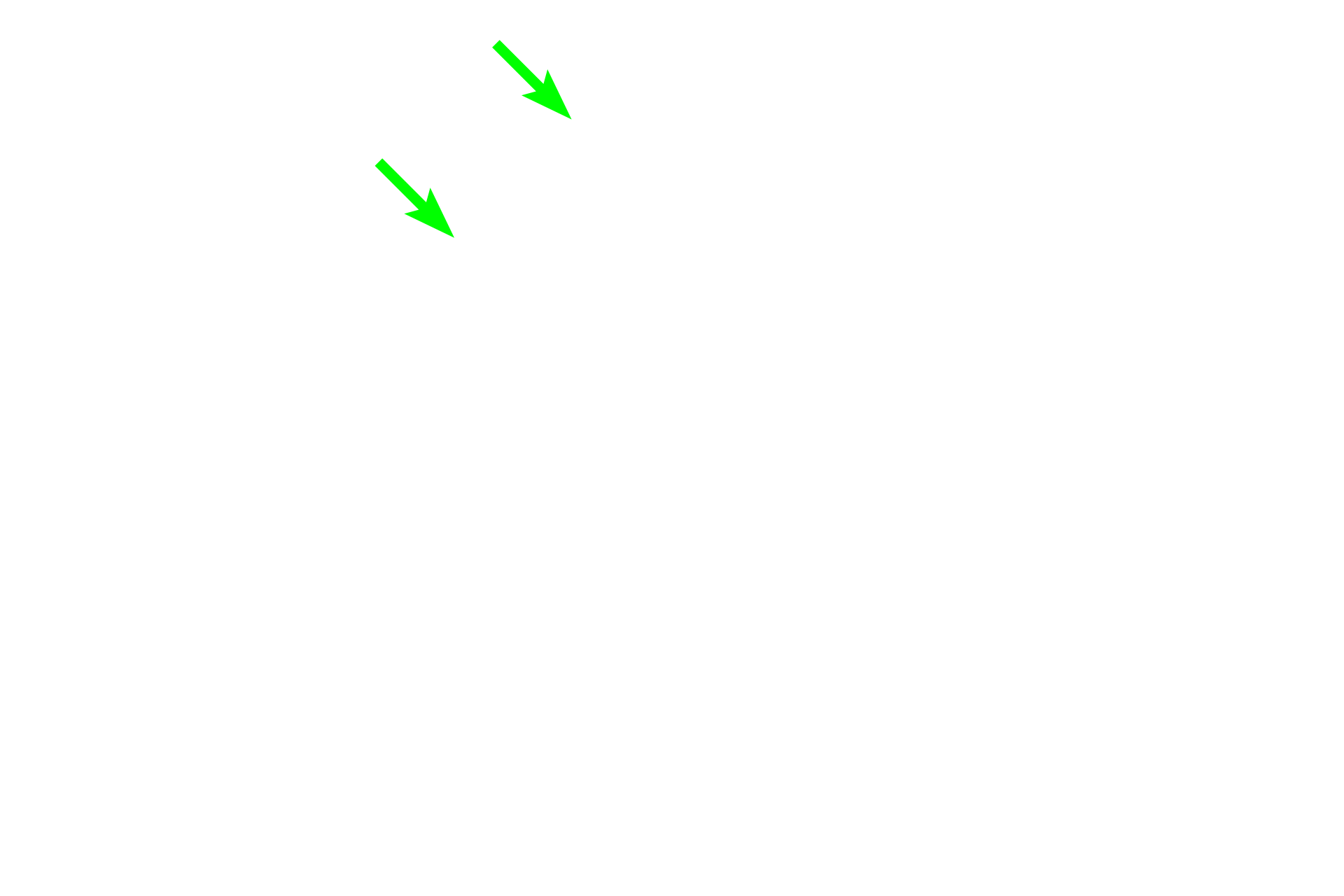 Dendritic spines > <p>Dendritic spines are small (0.1 – 0.8 microns) protrusions of the dendrite plasma membrane which are highly dynamic structures that remodel with synaptic activity.  The majority of excitatory input to dendrites occurs on dendritic spines.  Spines on Purkinje cell dendrites are larger (1-2 microns) than those on most dendrites.</p>
