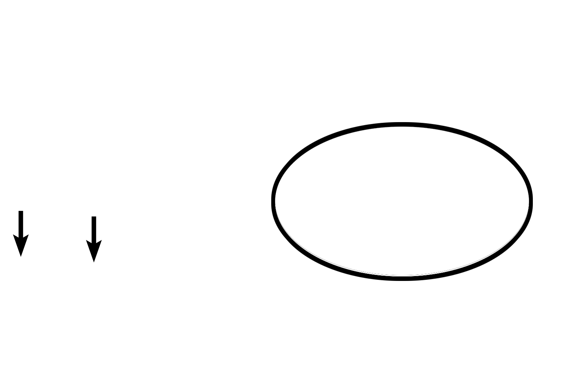 Autonomic ganglia <p>The cell bodies of multipolar neurons can also be found in autonomic ganglia throughout the body as part of the autonomic nervous system.  This ganglion is a component of the parasympathetic division and contains multipolar, motor neurons.  The ganglion is located in the wall of the digestive tract, between layers of smooth muscle which it innervates.  Autonomic neurons generally have an eccentric nucleus and Nissl that forms a more delicate, lacy pattern compared with the more coarse arrangement seen in multipolar neurons in the central nervous system.  The other nuclei in the ganglion are those of Schwann cells.  400x.</p>
