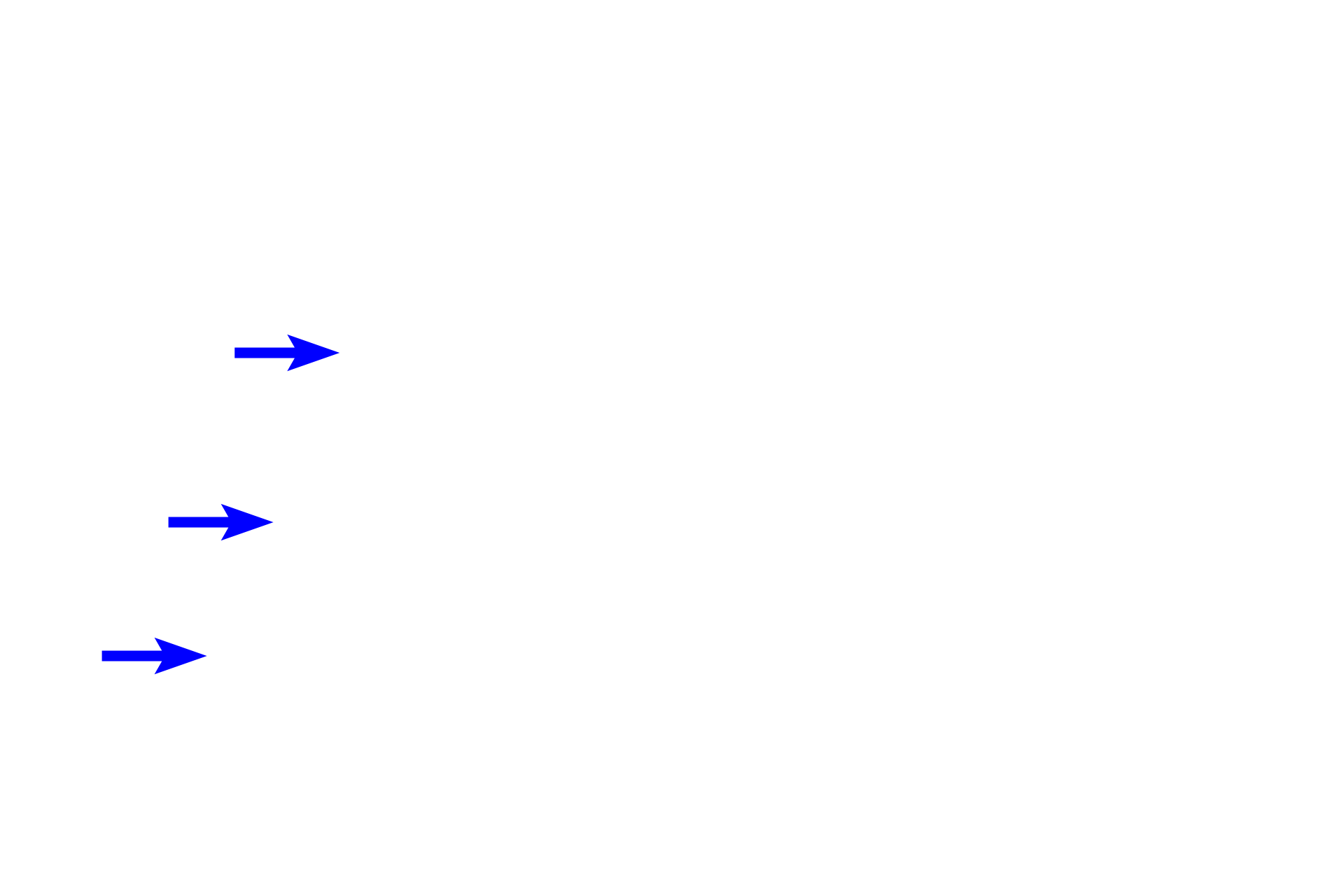  -- Hair shaft <p>The follicle sheath is a multilayered sleeve that surrounds the hair shaft. </p>
