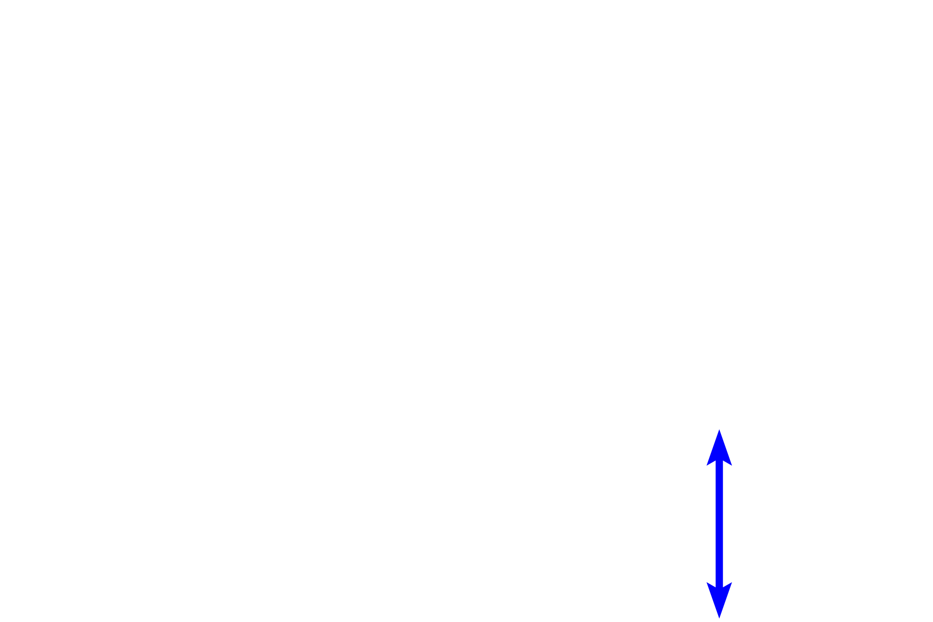 Dermis <p>A second cell type present in the stratum basale is the melanocyte, which often appear to have a clear, halo-like cytoplasm around a heterochromatic nucleus.  Melanocytes synthesize melanin pigment which they package it into melanosomes that are transferred to keratinocytes, imparting an overall brownish color to the stratum basale.  Melanin absorbs ultraviolet light thereby protecting the DNA in the stratum basal cells.  Melanocytes have a different embryological origin from keratinocytes.  Also visible in the epidermis are migrating macrophages called Langerhans cells.  400x</p>
