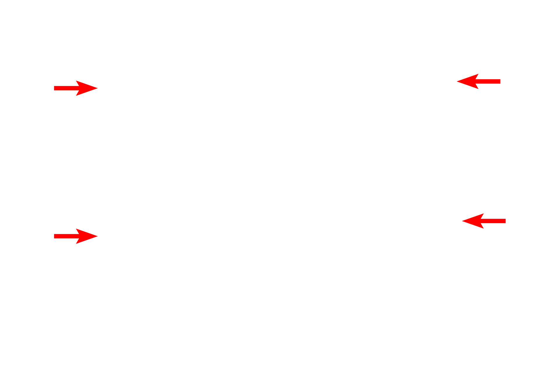 Column > <p>The components of the electron microscope are enclosed in a metal column that is kept under high vacuum to permit the flow of electrons inside the column.</p>
