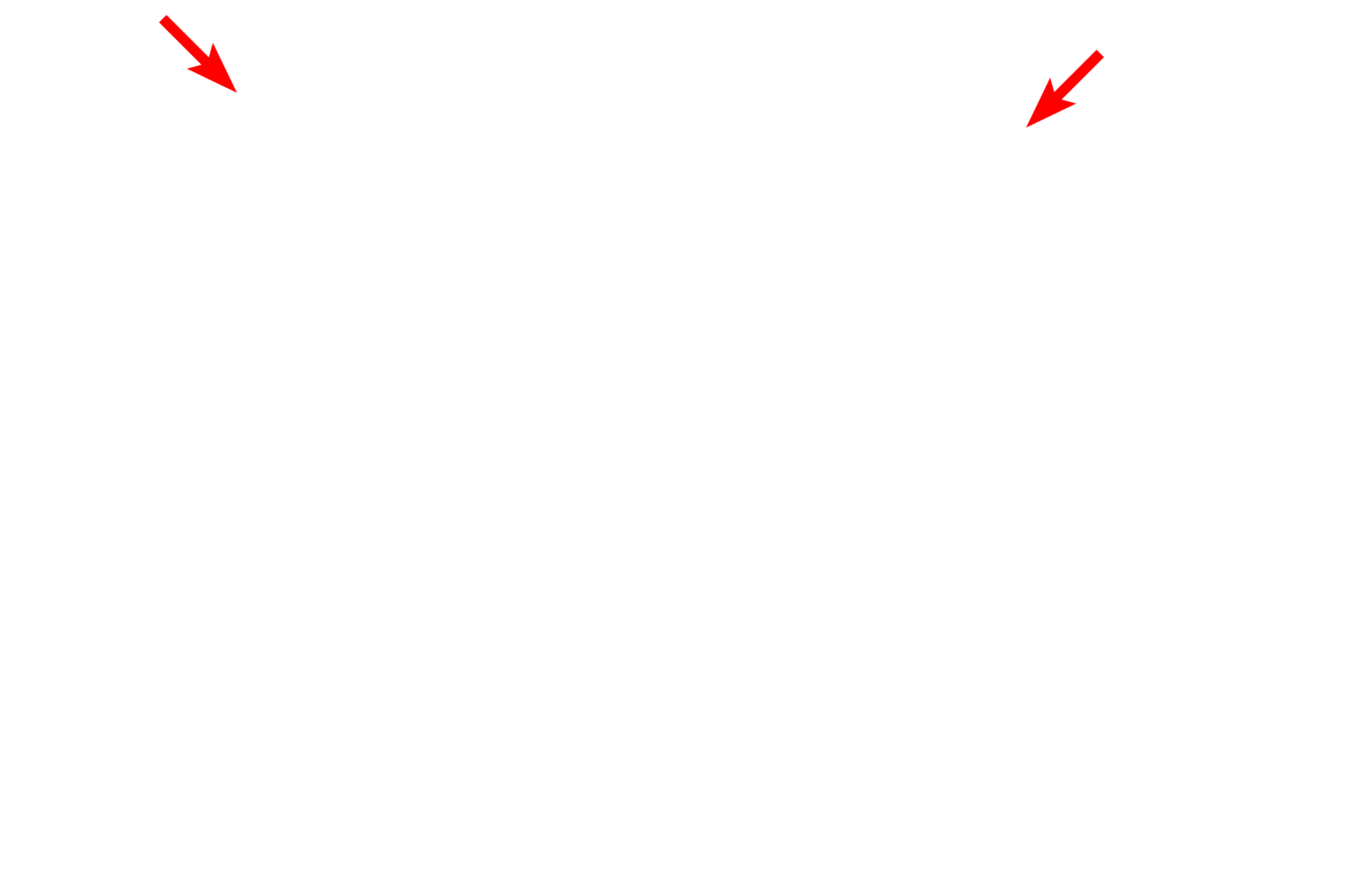 Electron source > <p>Electrons are emitted from a wire filament located at the top of the column.</p>
